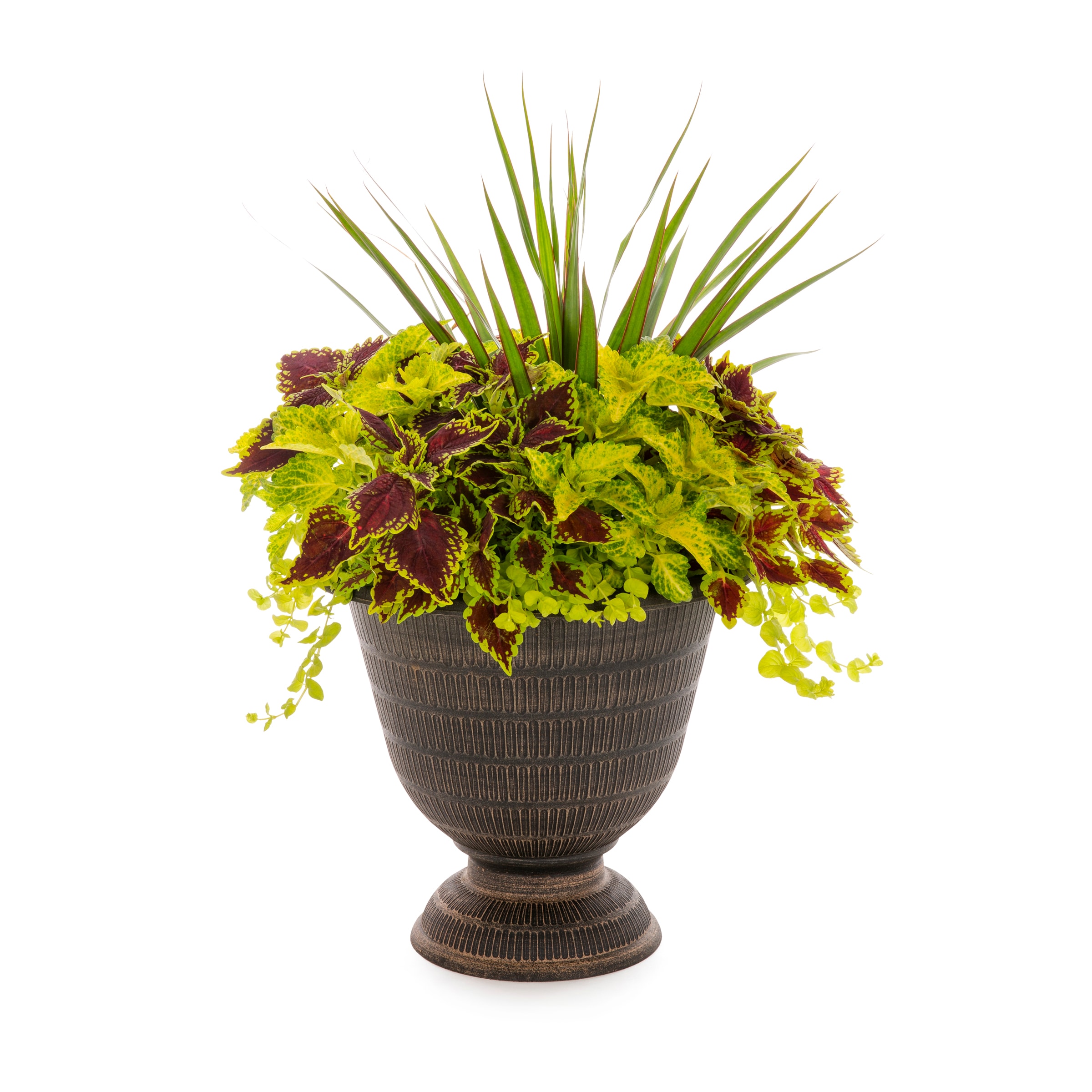 Lowe's NURSERY Multicolor Mixed Annuals Combinations in 2.5-Gallon Planter