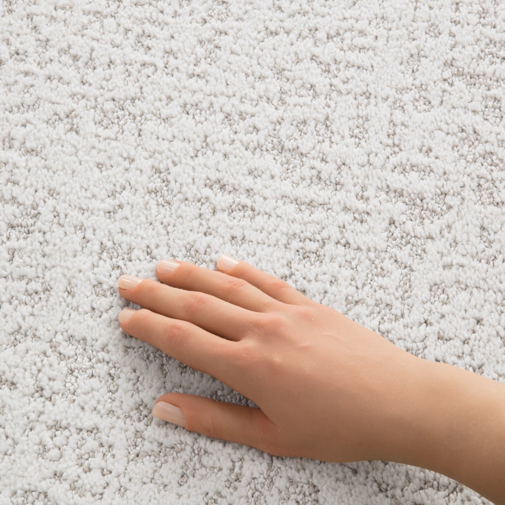 STAINMASTER PetProtect 7L97700150 Carpet-Panel - View #4
