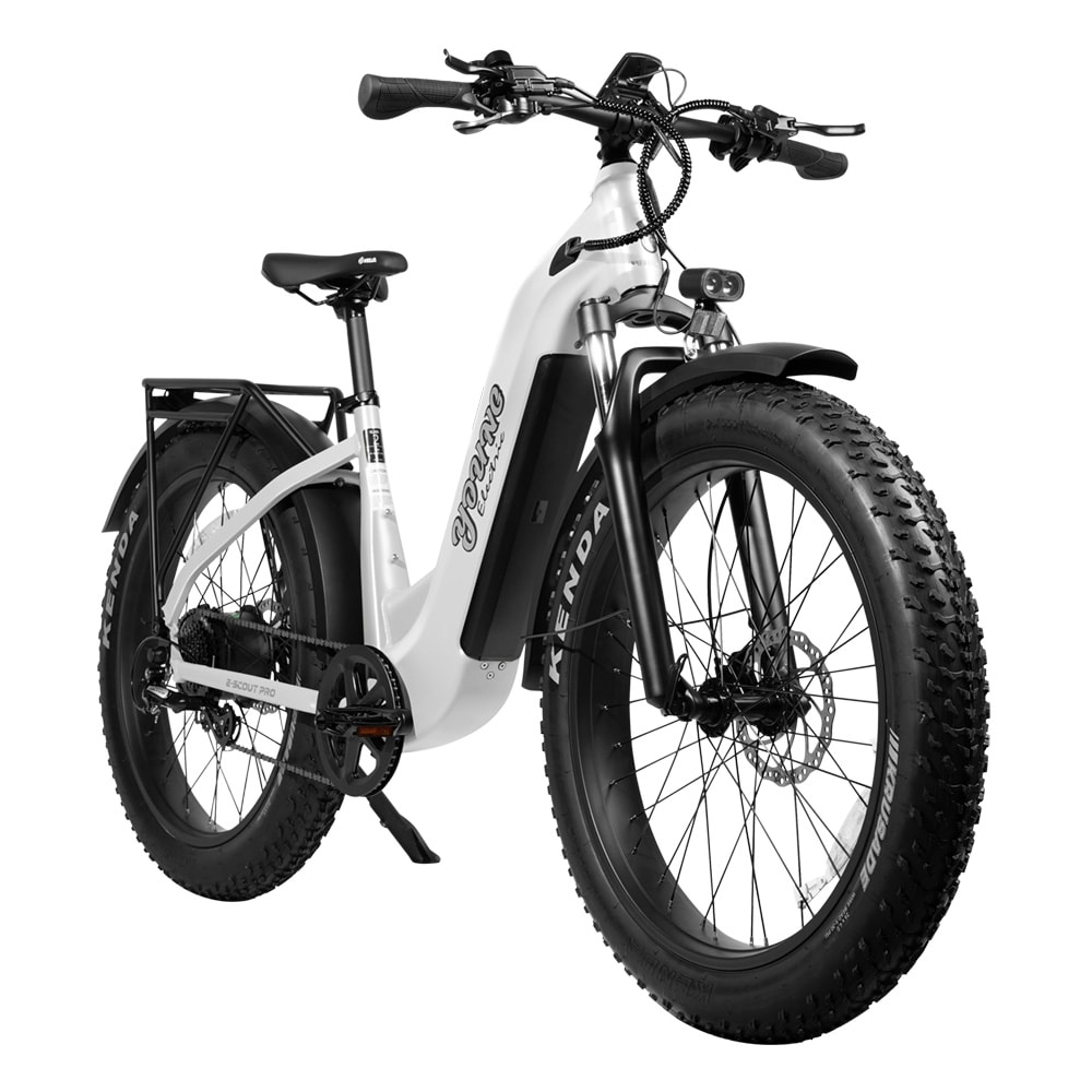 Young Electric 12803024WHI bikes - View #2