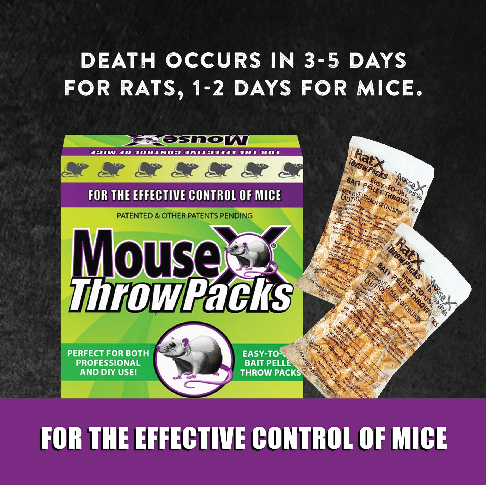 MouseX 6-Count Throw Packs Mouse Control in the Animal & Rodent Control  department at