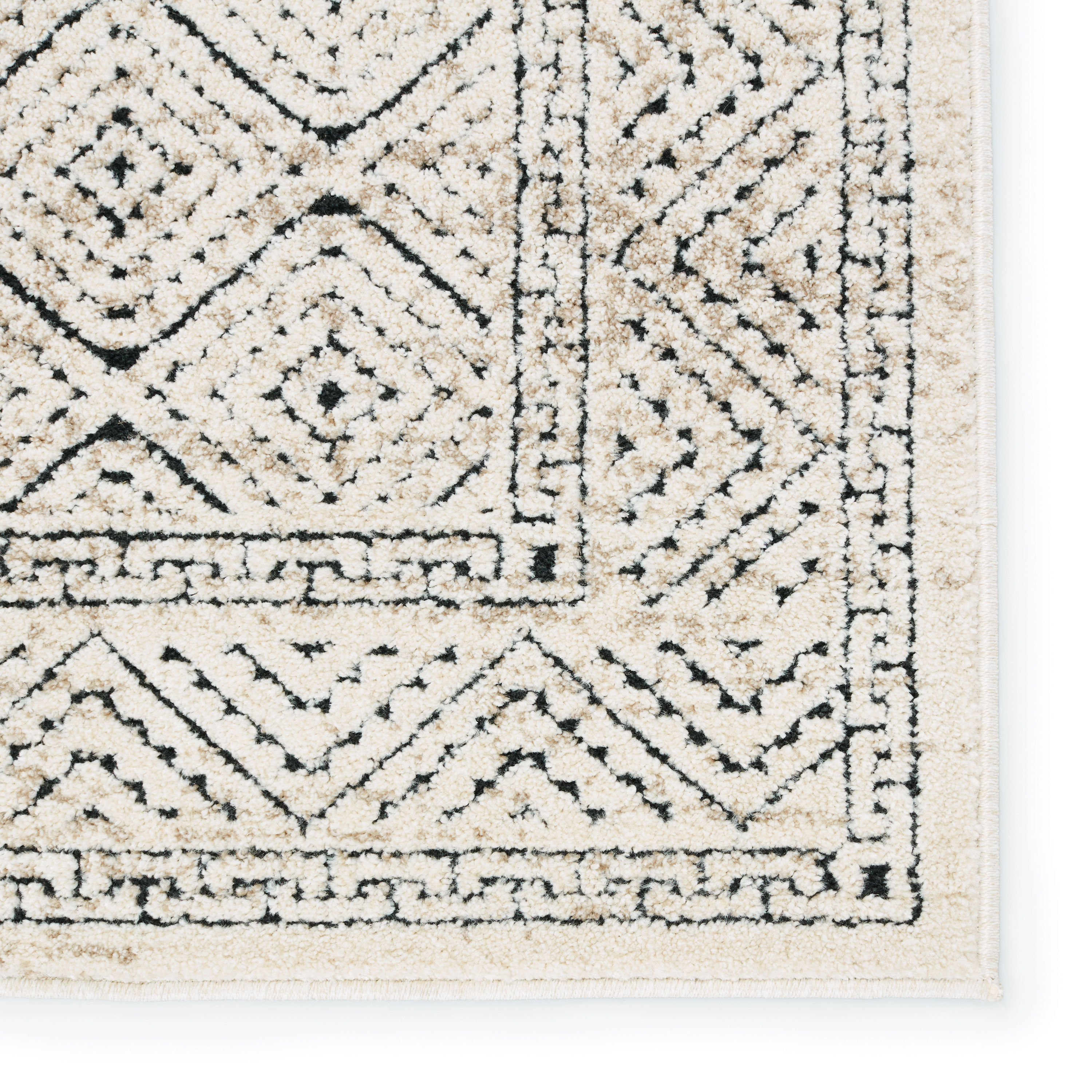 Jaipur Living RUG152523 rugs - View #4
