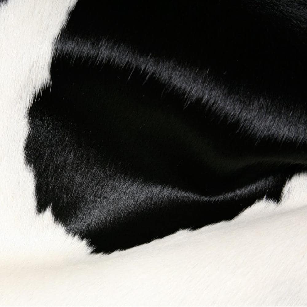 HomeRoots 317315 rugs - View #5
