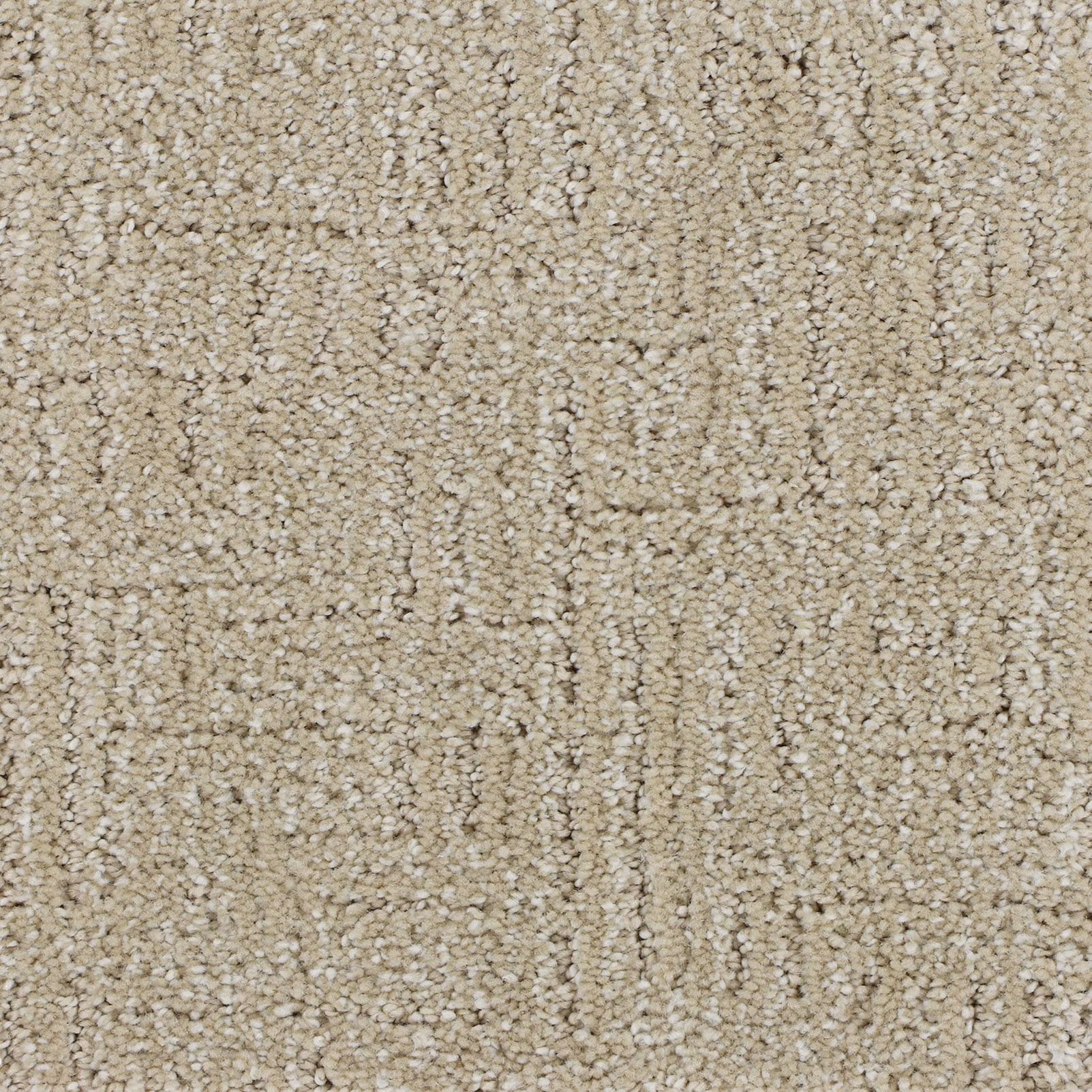 STAINMASTER PetProtect SS055-L004-S0808 (Sample) 8-in x 8-in with LeakDefense Nice Reward Warm Glow Tan 46-oz sq yard Triexta Pattern Indoor Carpet