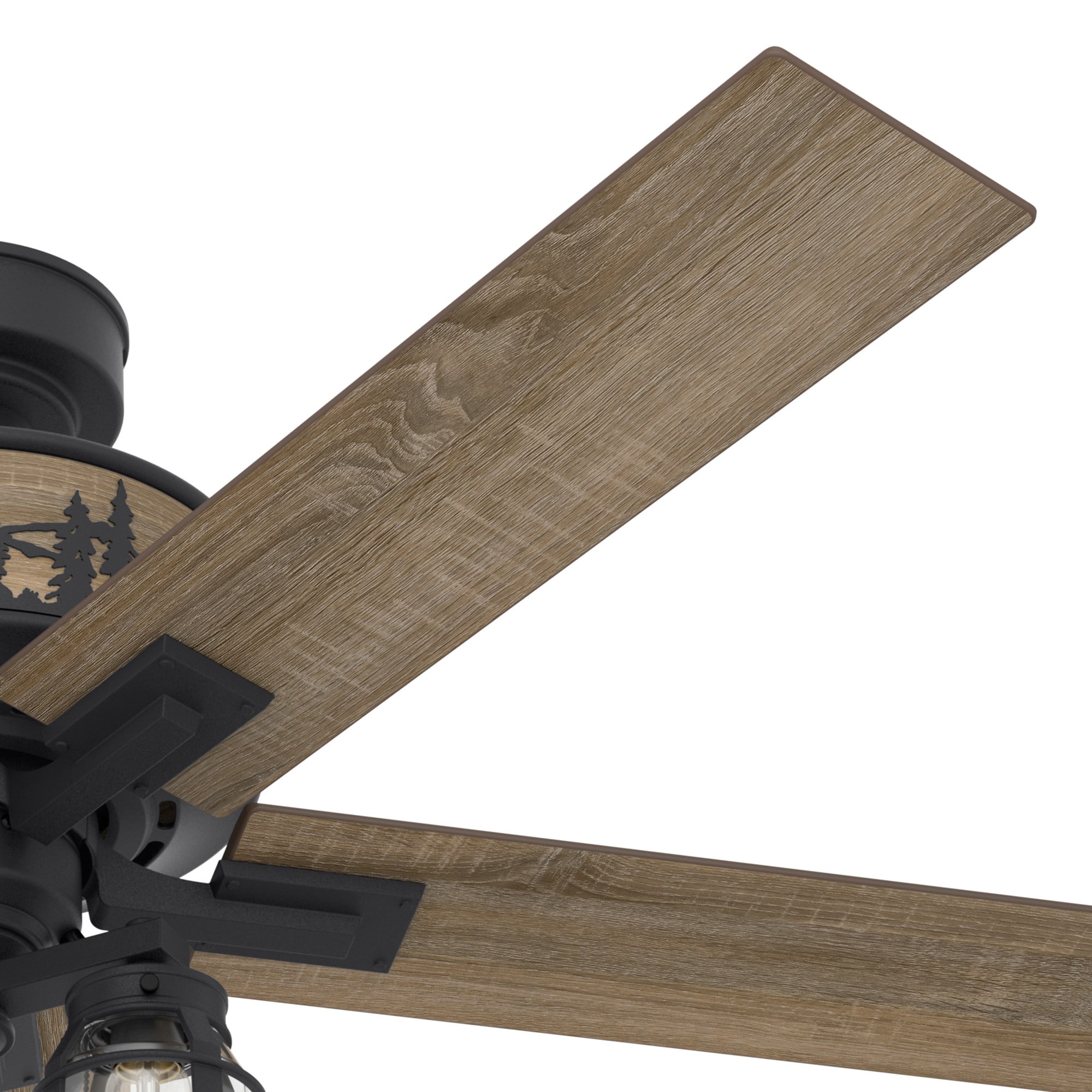 Hunter 50169 Ceiling-Fans - View #7