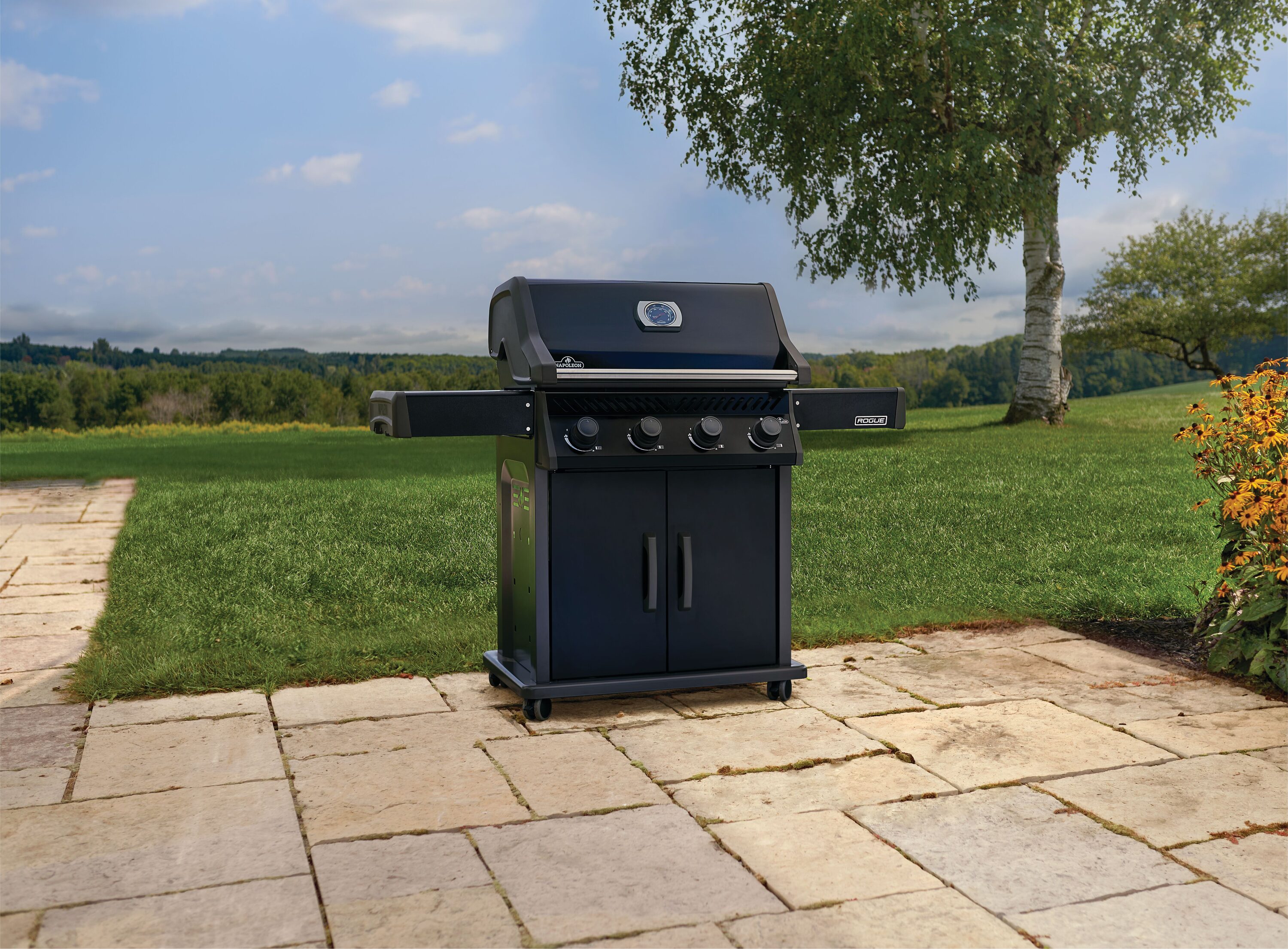 NAPOLEON R525PK-2-SS Gas-Grill - View #11