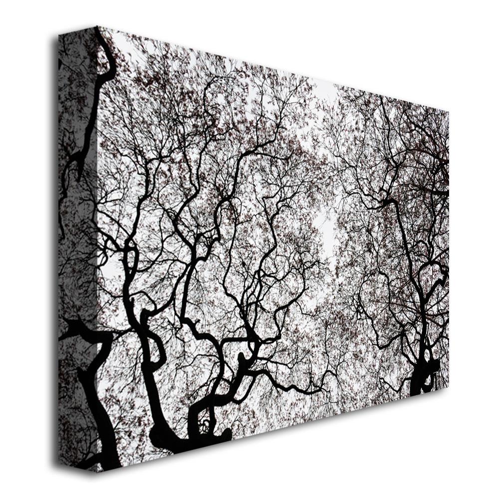 Trademark Fine Art KS442-C3047GG Wall-Art - View #2