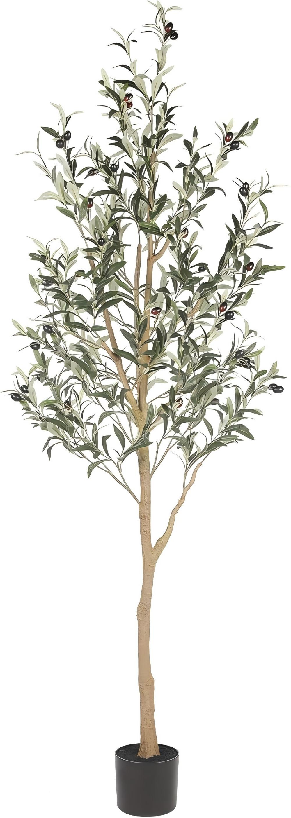 Aveyas AVE013-6FOOT 6ft Artificial Olive Tree for Home Decor