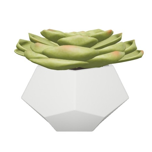 Three-dimensional representation of the product