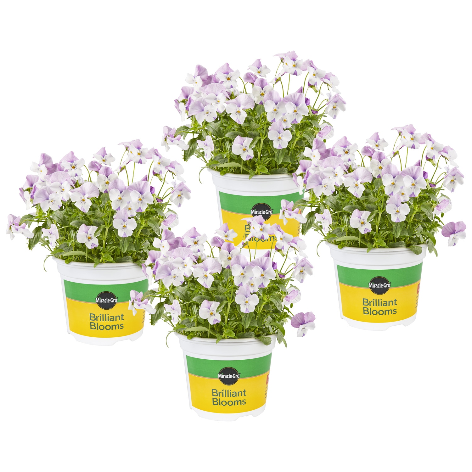 Miracle-Gro undefined at Lowes.com