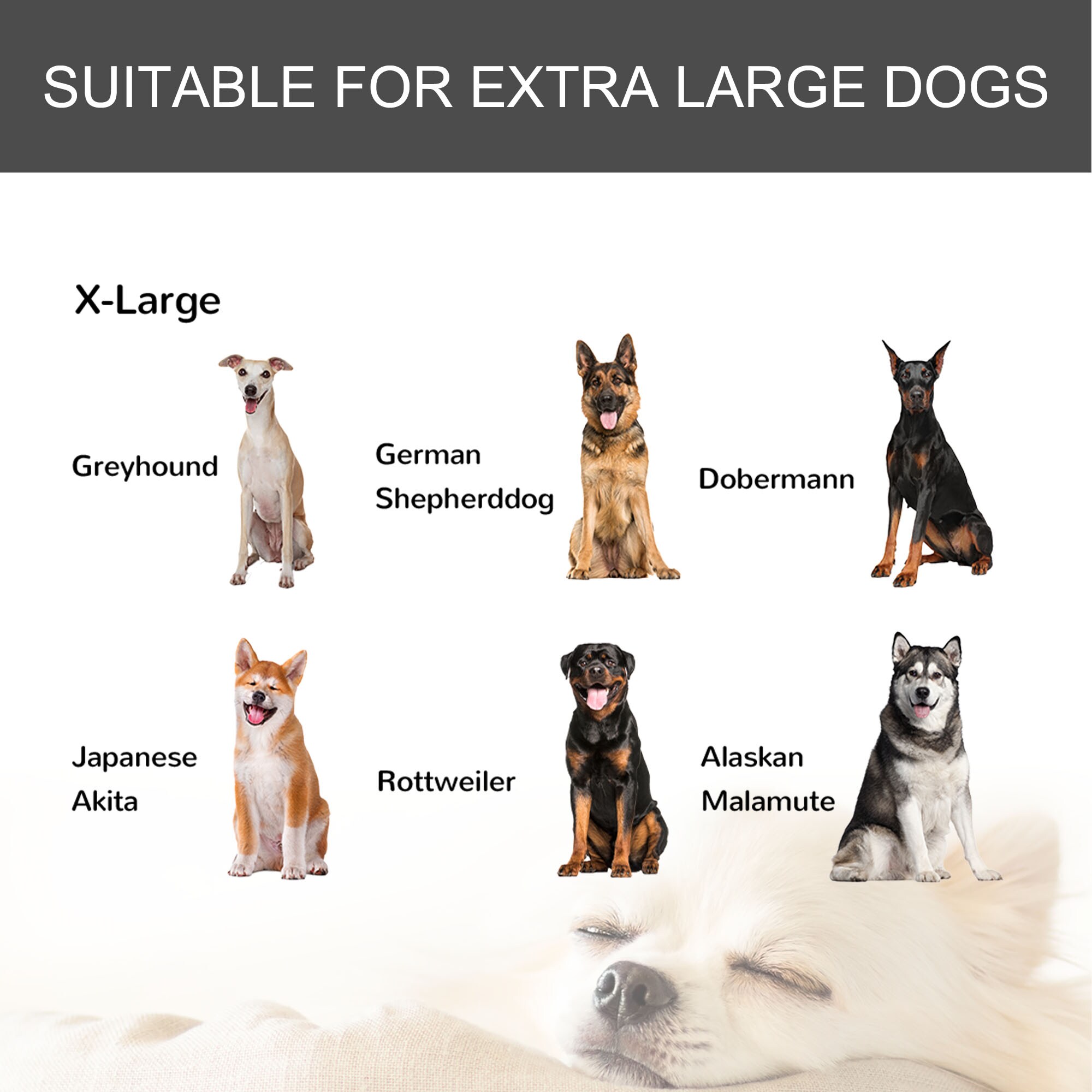 Siavonce XH73785 Pet-Crates-Carriers - View #7