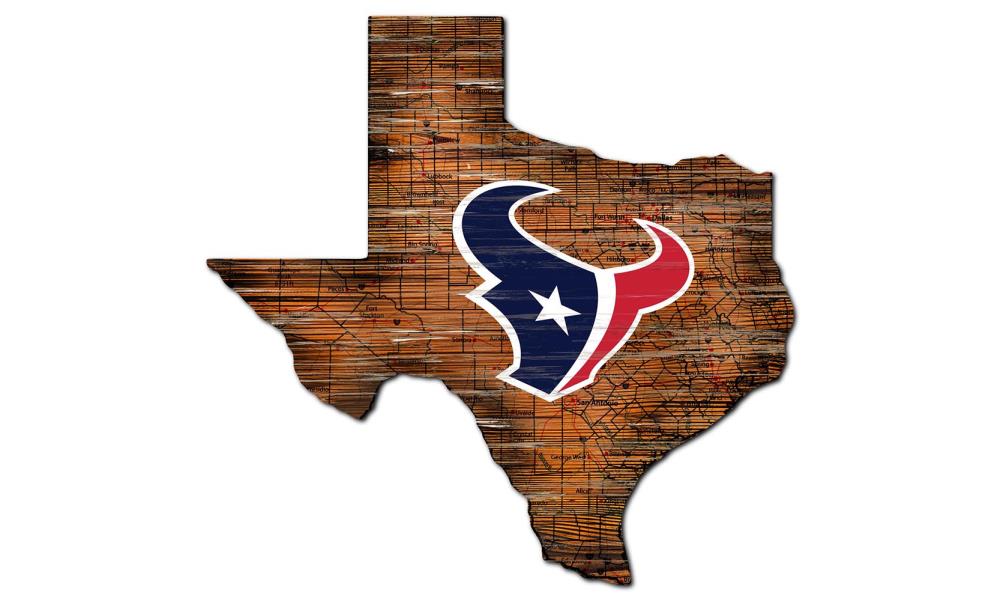 Fan Creations Houston Texans 24-in H x 24-in W Sports Print at