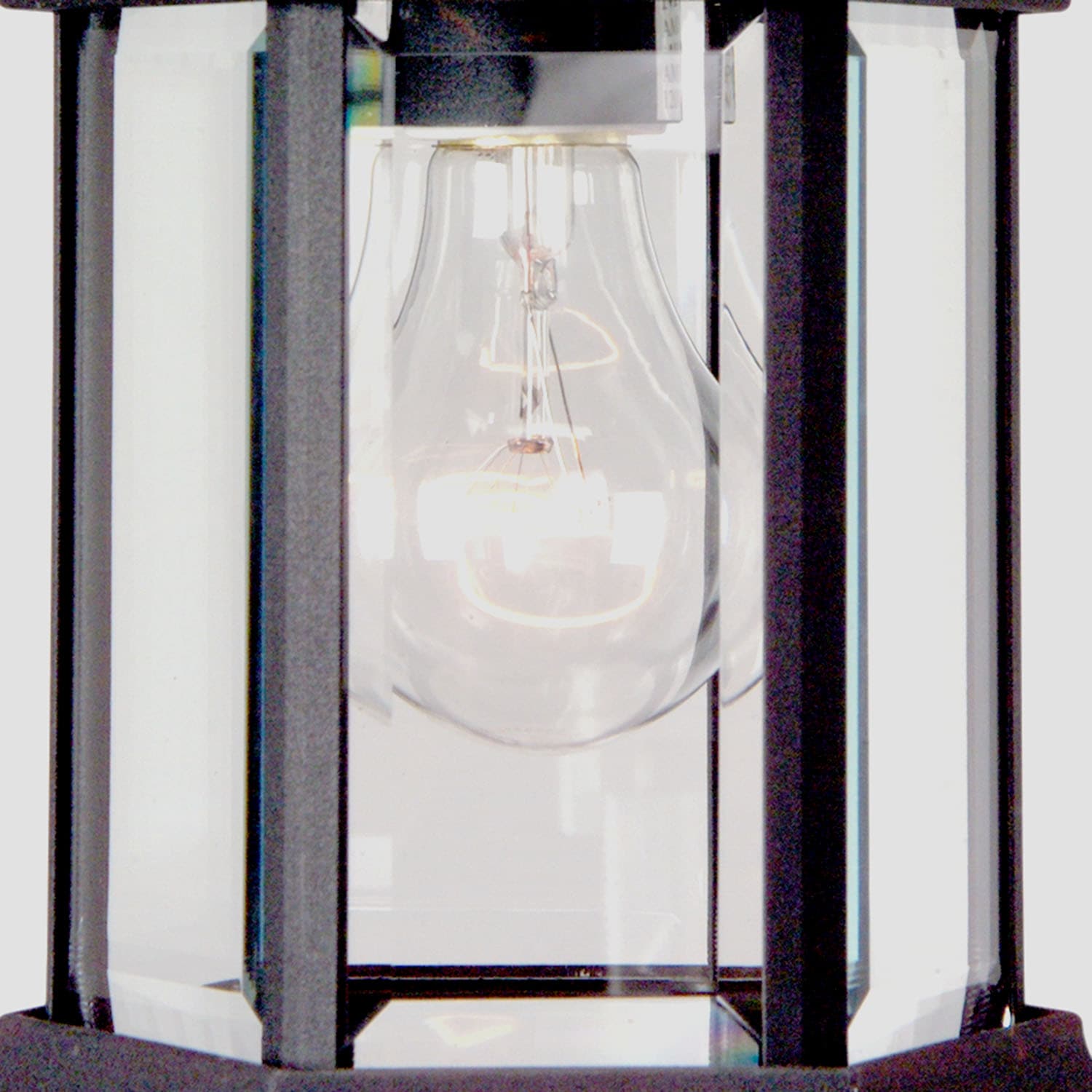 Matte Black Aluminum 1-Light Outdoor Pendant with Clear Glass