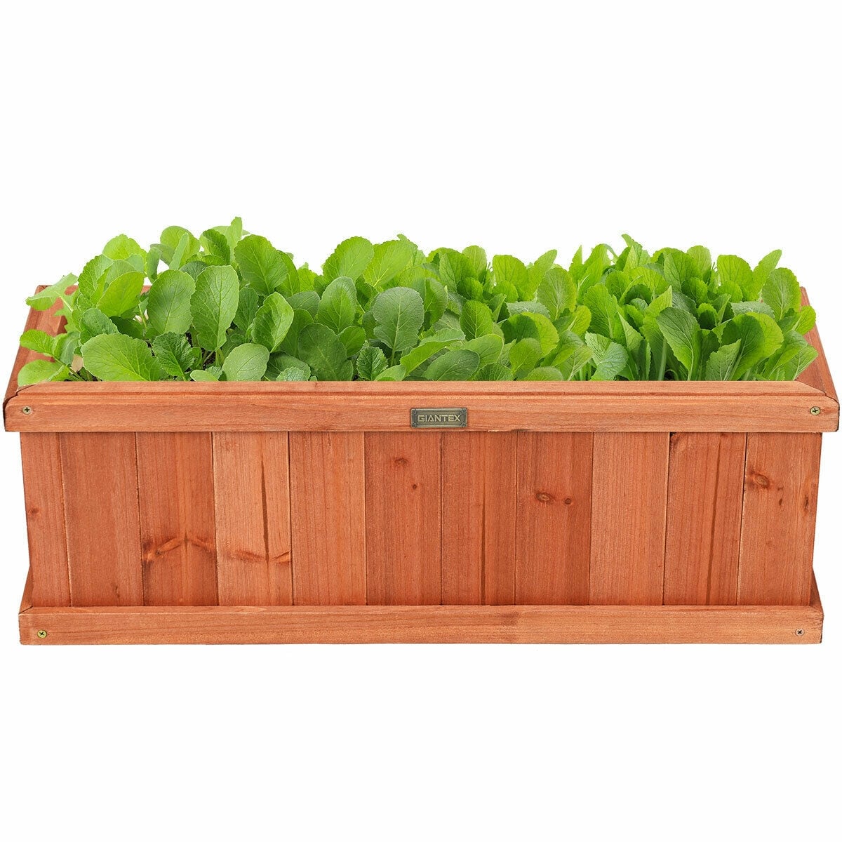 Forclover CWTA-GT3431 Raised-Garden-Beds - View #5
