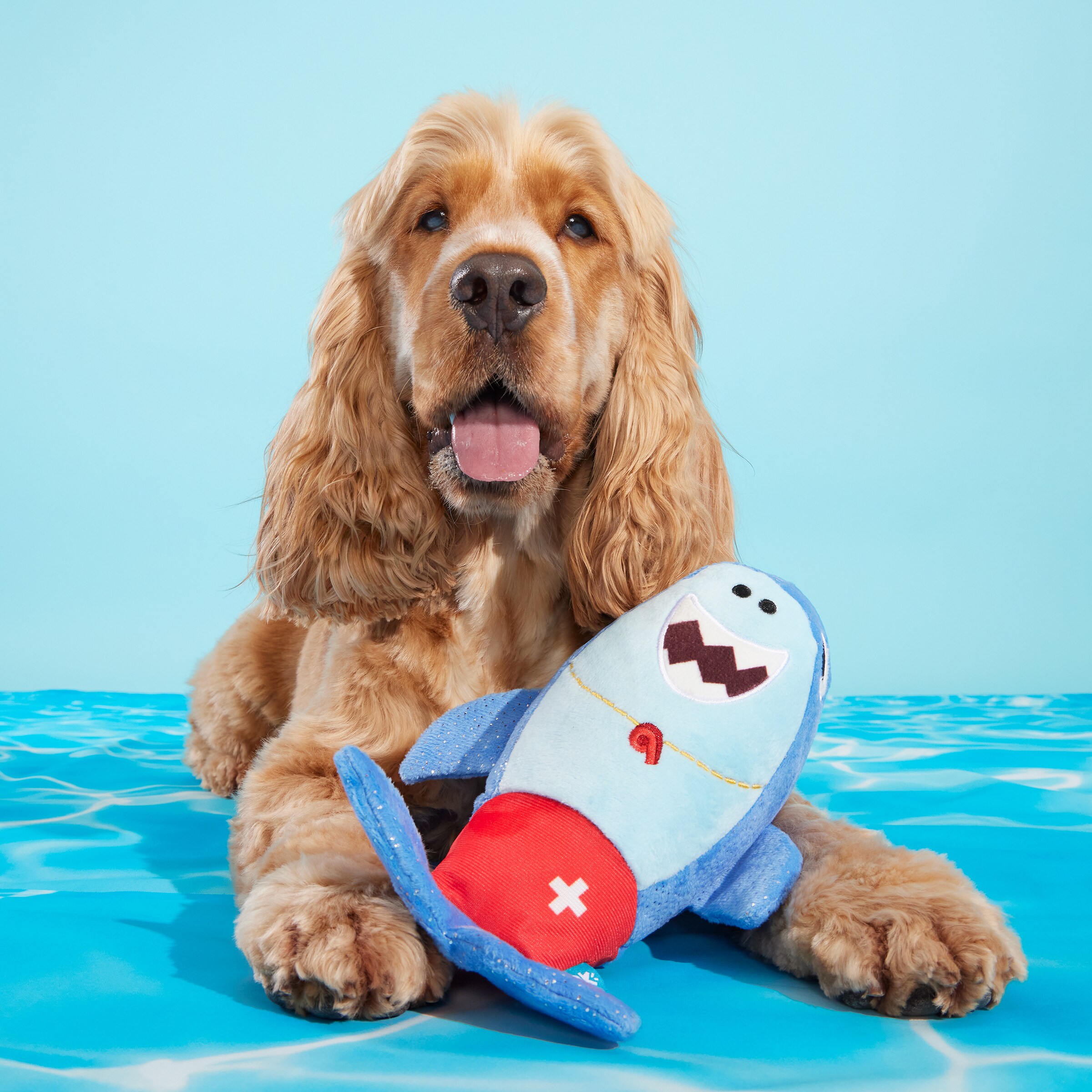 BARK 215821 Dog-Toys - View #3