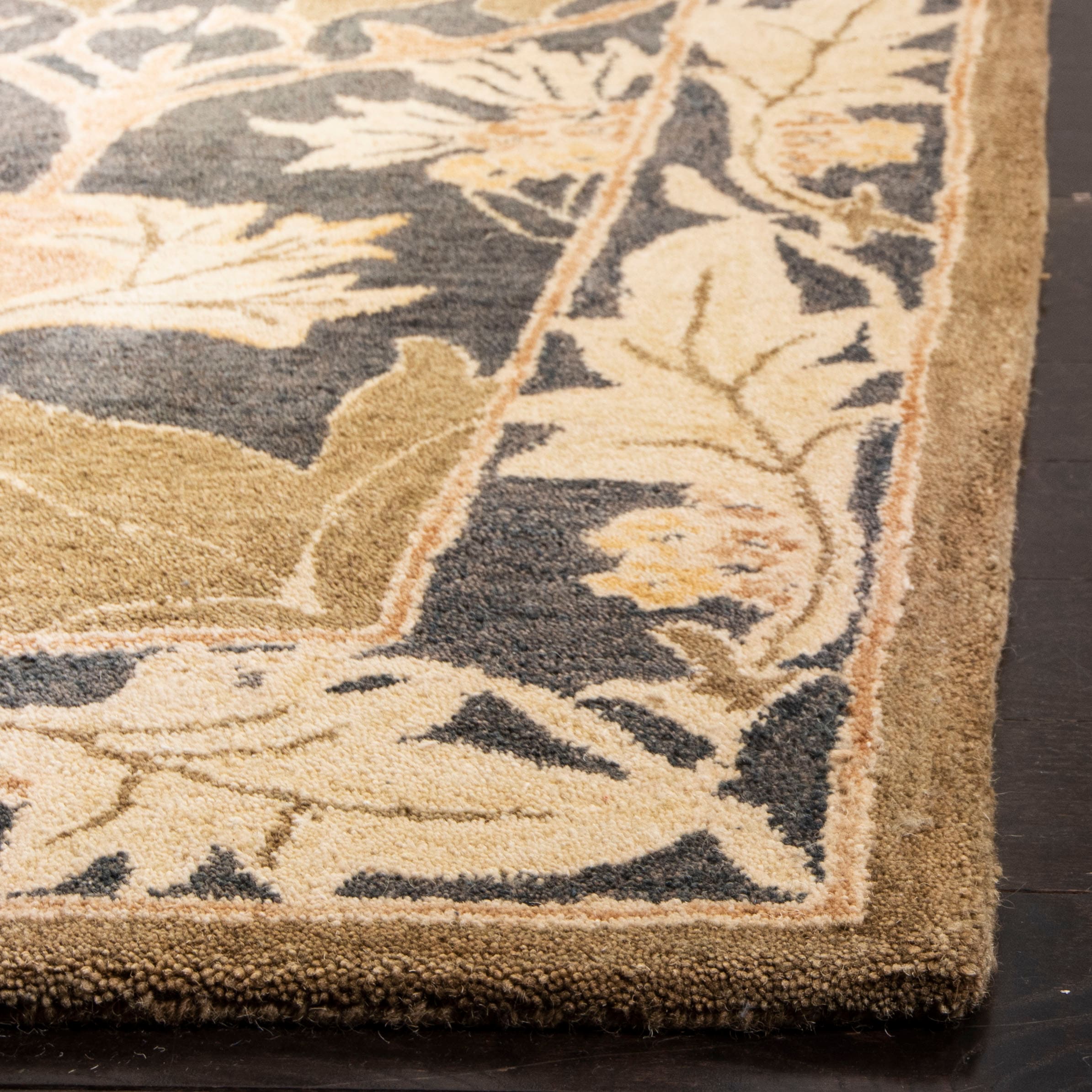 Safavieh AN541A-210 rugs - View #3