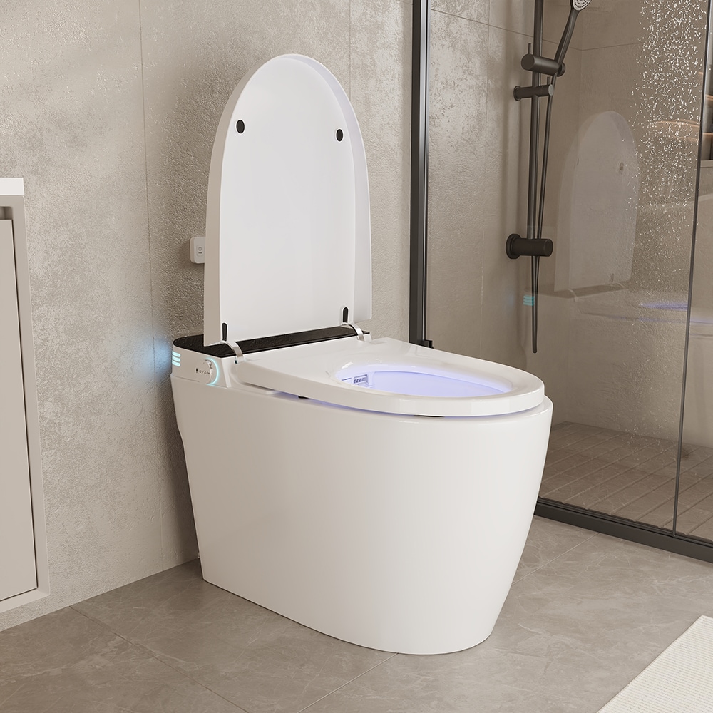 Homsee  H2 High End  Smart Toilet with Temperature Display Dual Flush and Remote Control Featuring US Standard 110V Plug and Premium Foam Packaging 29.9''W x 16.9''D x 19.6''H White