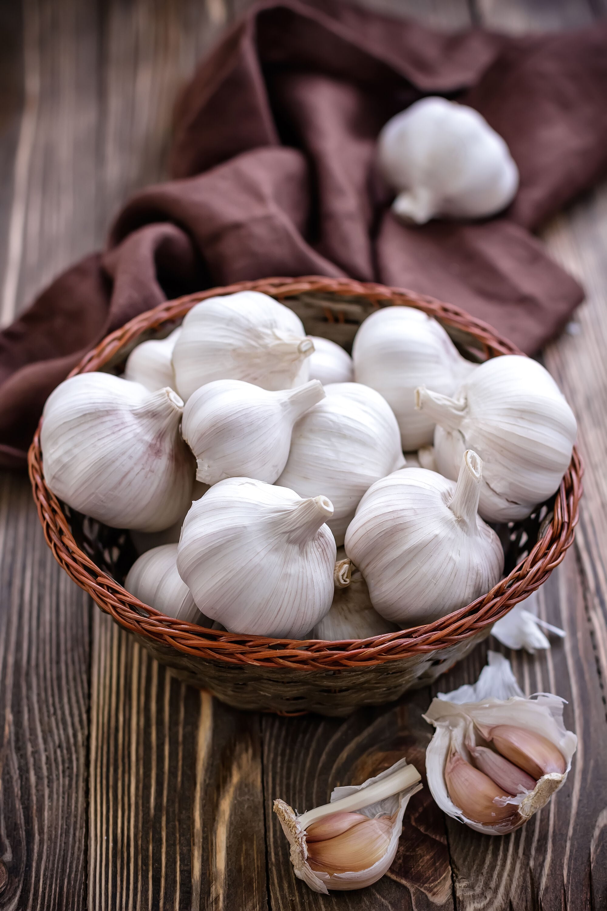 Garden State Bulb 07963 GARLIC SEEDS CA SOFTNECK 3-PK PBS