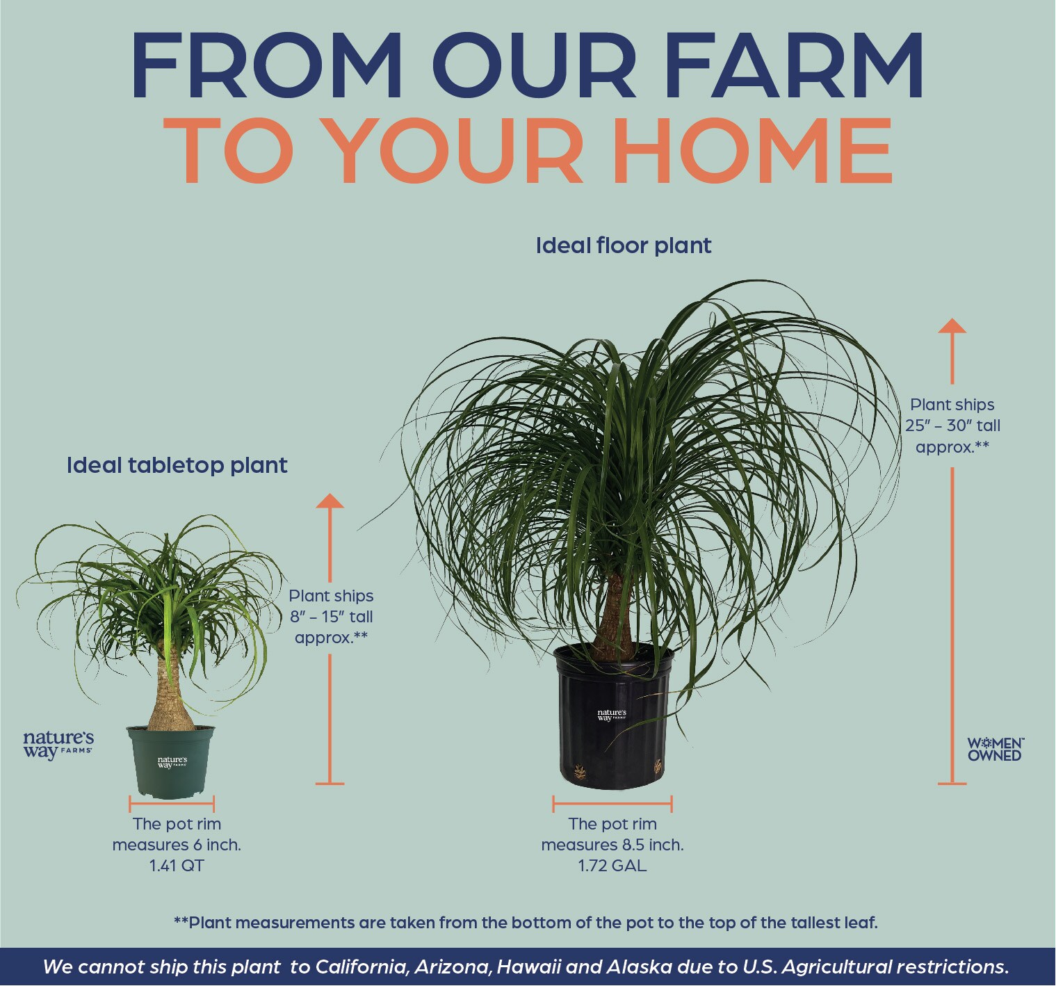  5807 perennials - View #2