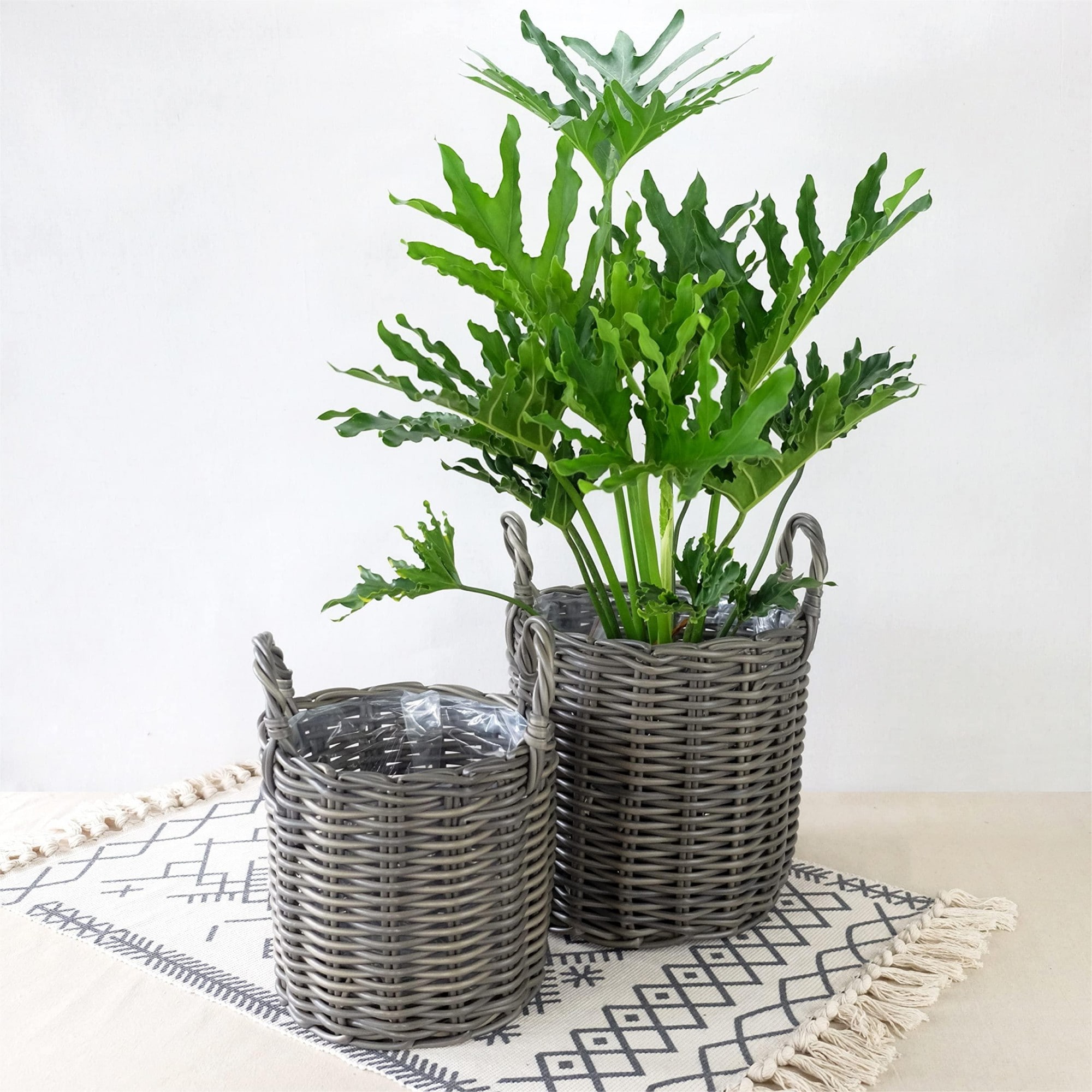 Yiekholo LL-1644AA Planter-Window-Box - View #5