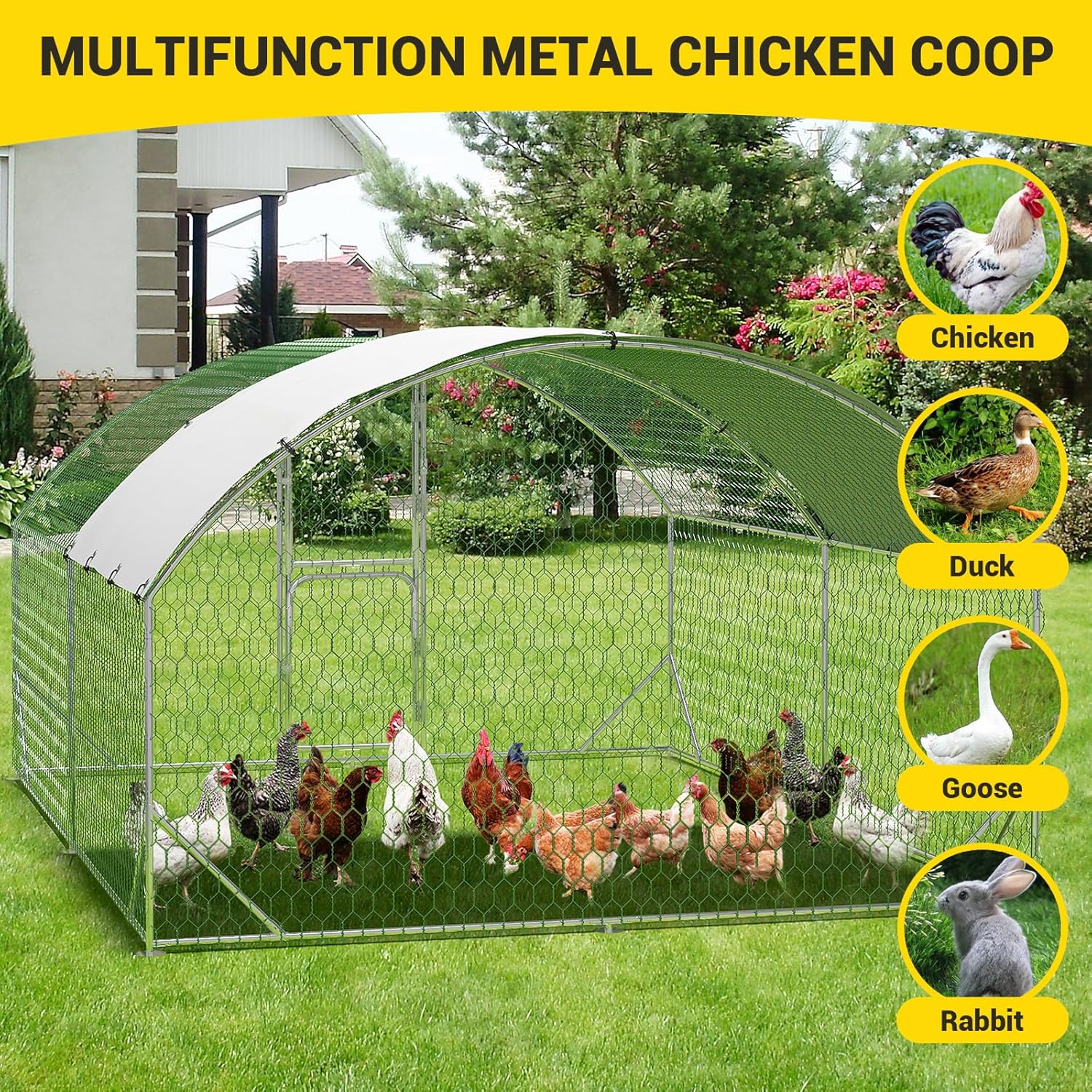 Qeetex BY01-PPG-334DWNPY Chicken-Coops-Rabbit-Hutches - View #3
