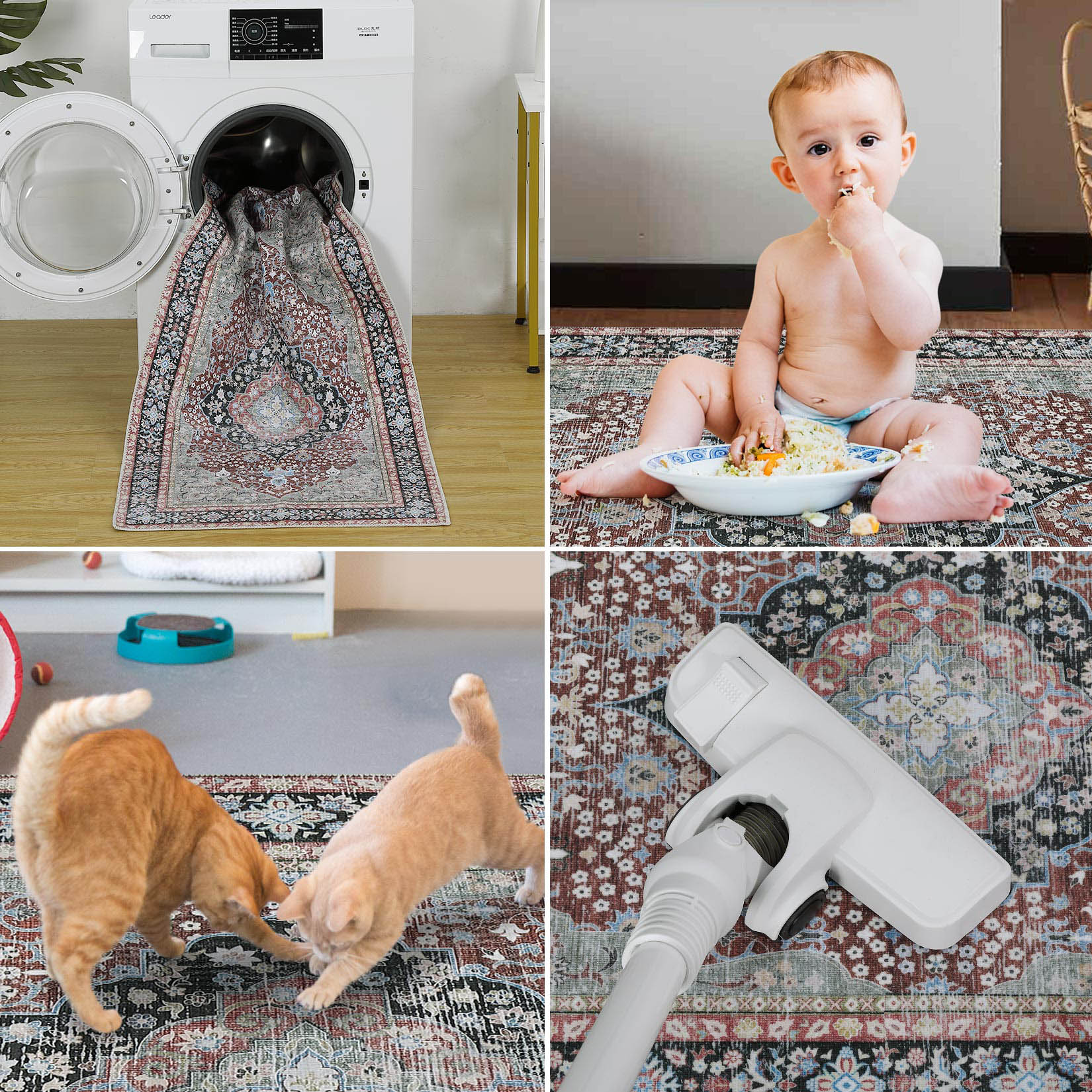 Garvee YXY-LO-PHO-0ZH25ZXA rugs - View #5