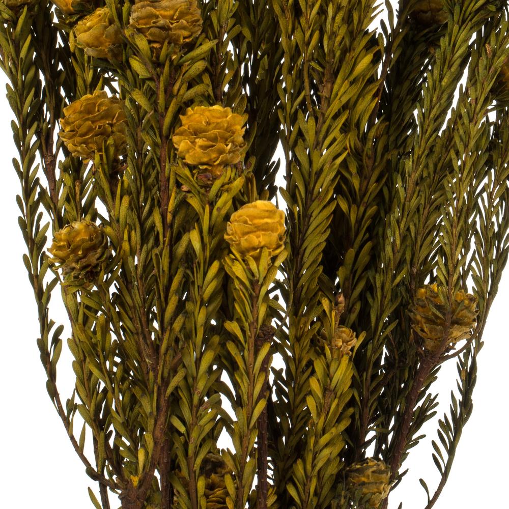 Vickerman H1TOF725-2 Artificial-Plants-Trees - View #3
