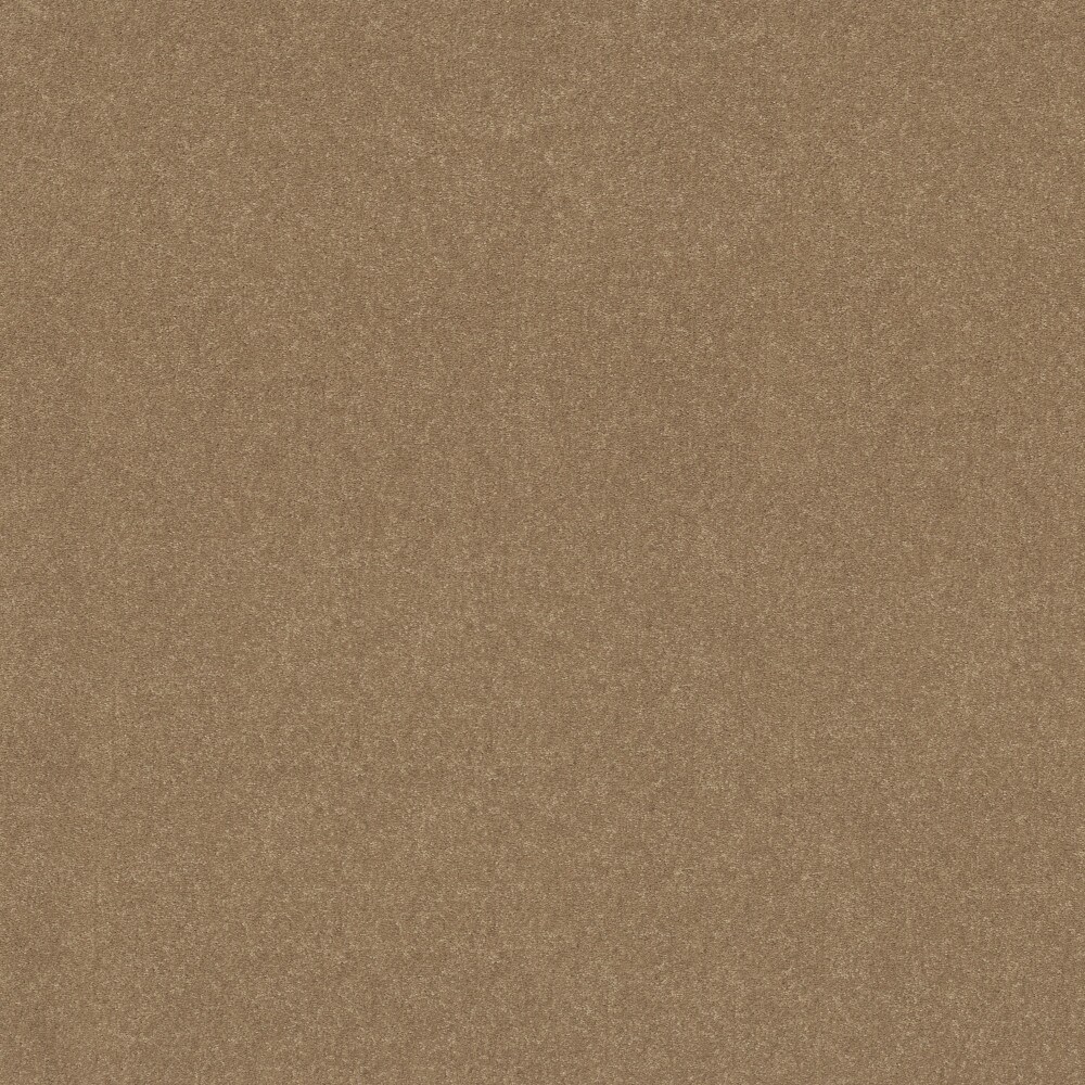 STAINMASTER (Sample) Blue Diamonds III Nutria Brown 73.1oz sq yard