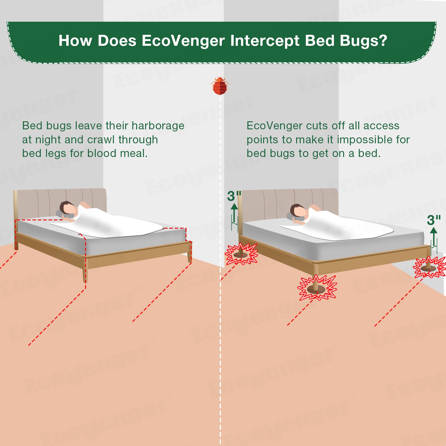 EcoVenger EVBBKTPNMT repellents - View #9
