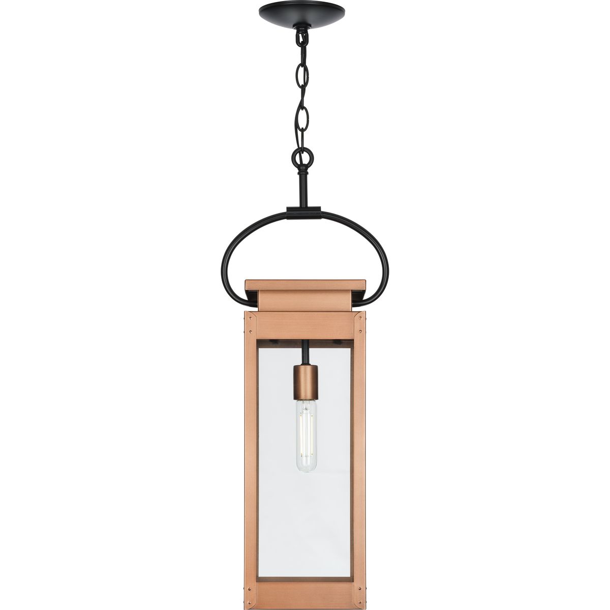 Progress Lighting P550018-169 Pendant-Lights - View #5