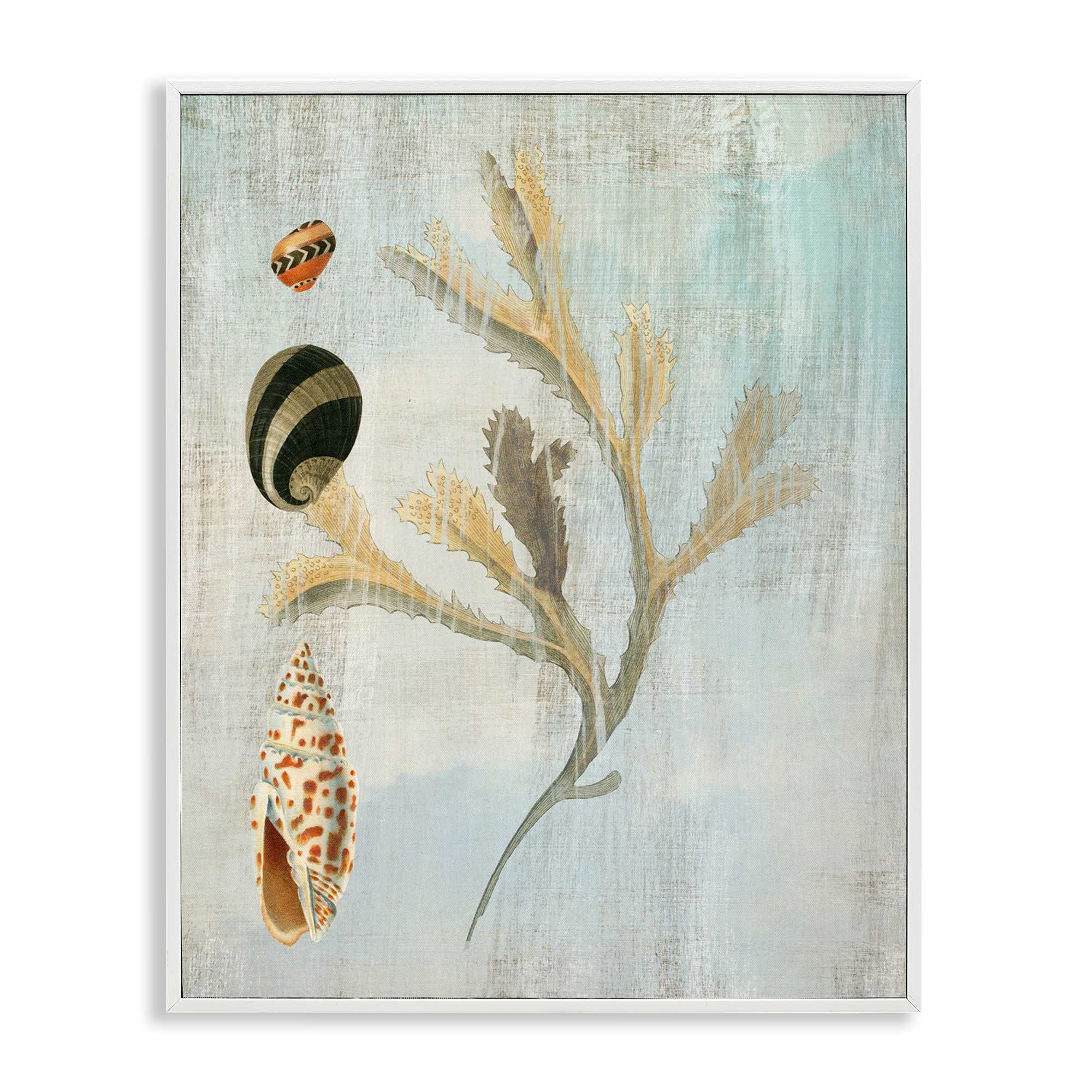 Stupell Industries BT-994-WFR-16X20 Mixed Seashells and Coral White Framed Giclee Art By Susan Arnot 16 x 20