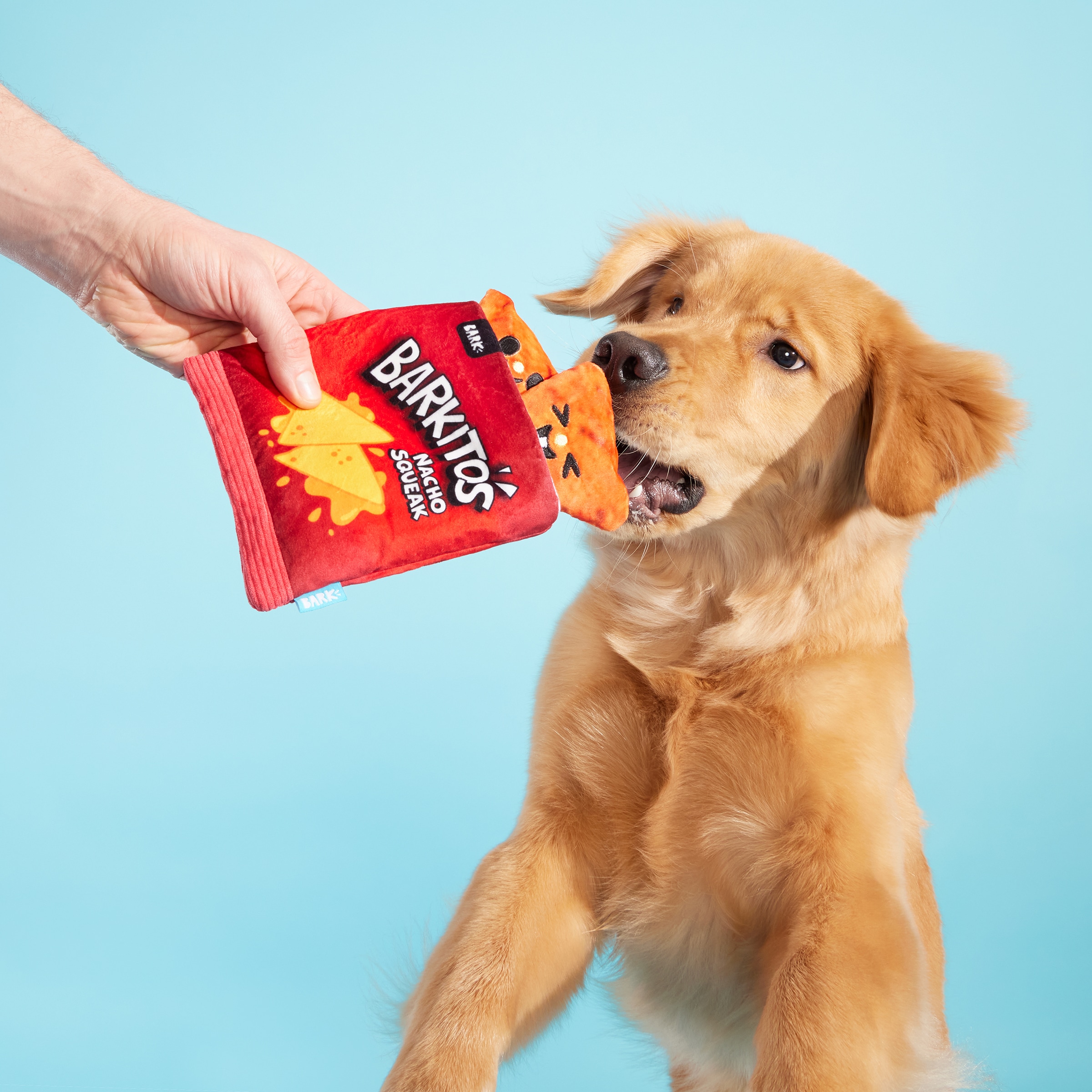 BARK 215822 Dog-Toys - View #2
