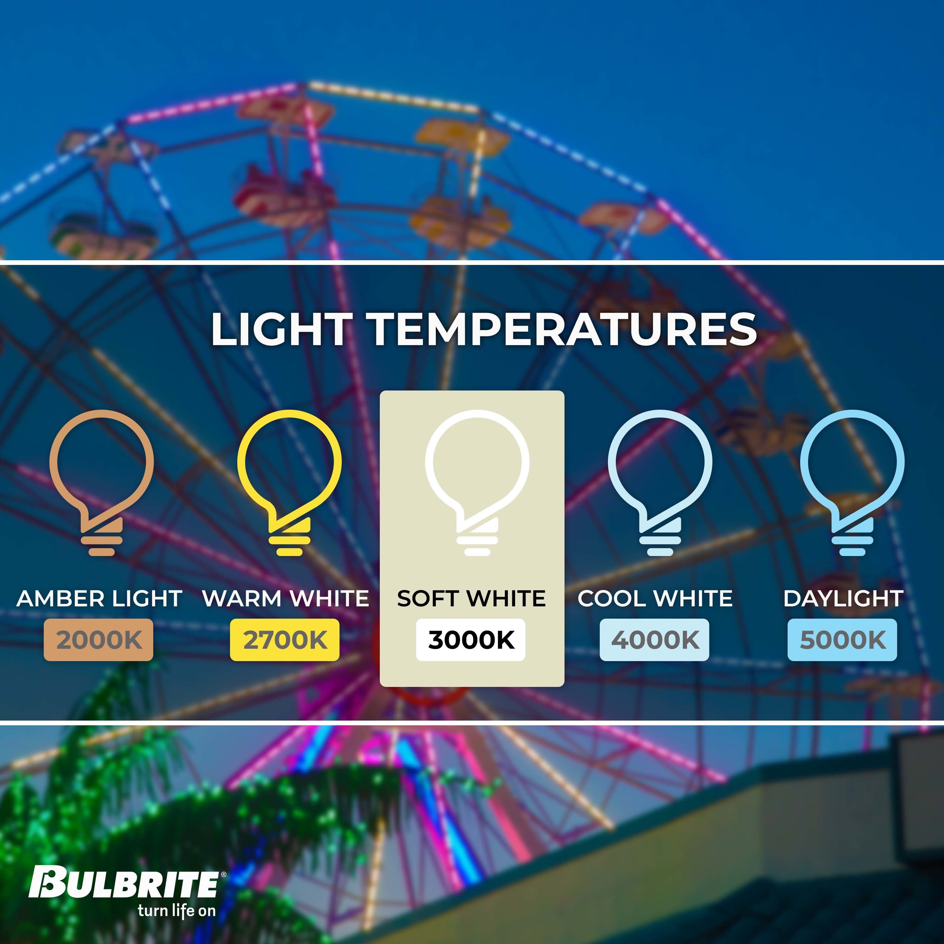 Bulbrite 861717 Led-Flood-Spot-Light-Bulbs - View #4