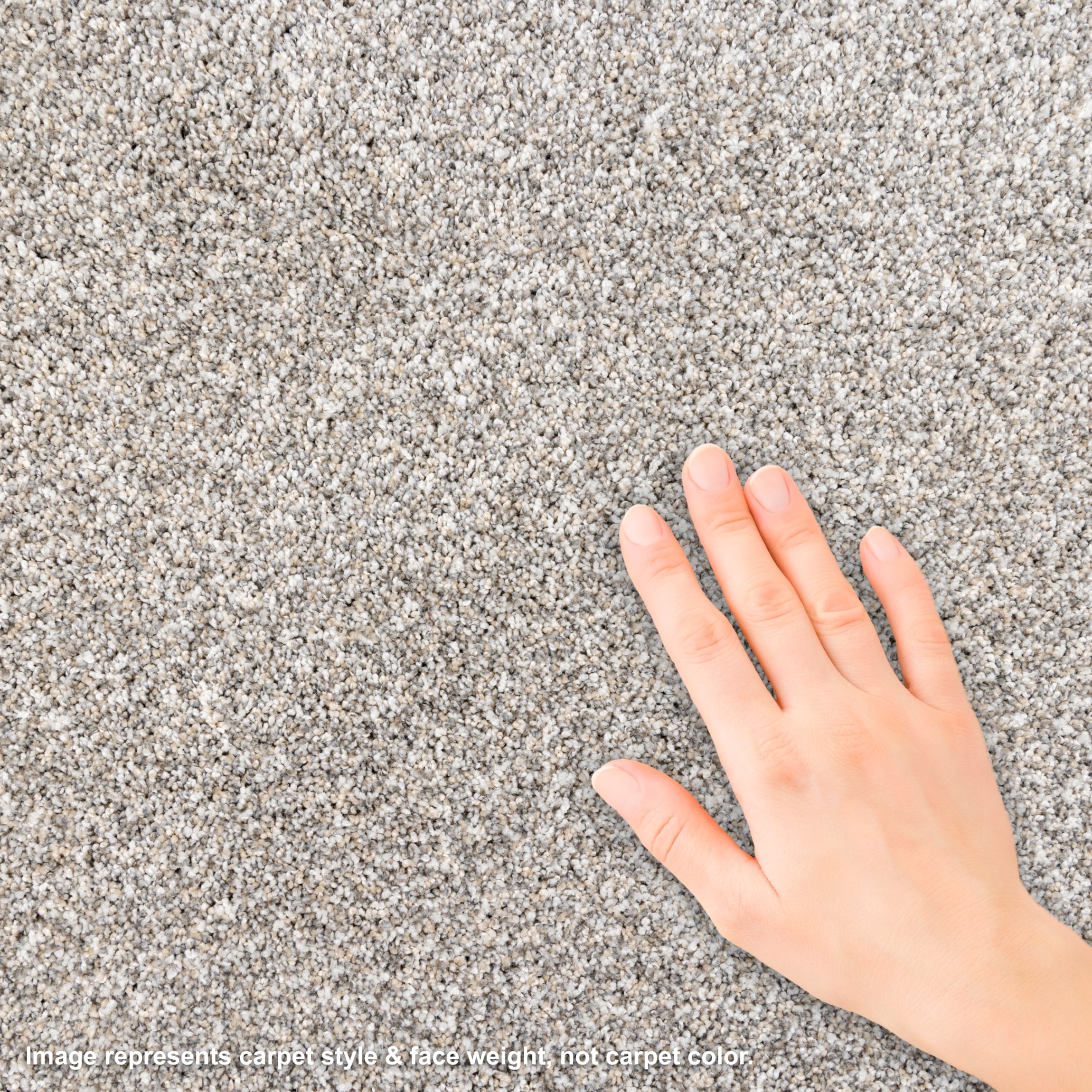 STAINMASTER PetProtect L3010-1002-1200-AB Carpet-Panel - View #3