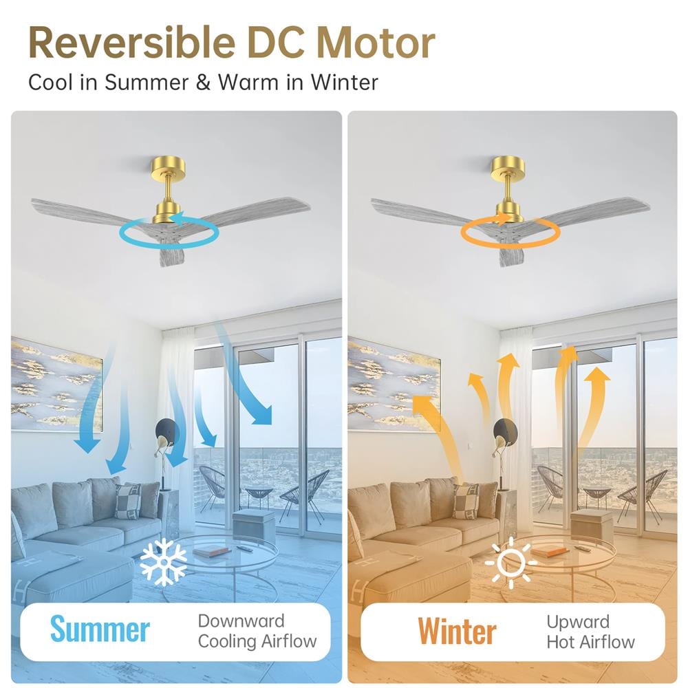 Sofucor LW-5247-BG-DC-WD Ceiling-Fans - View #4
