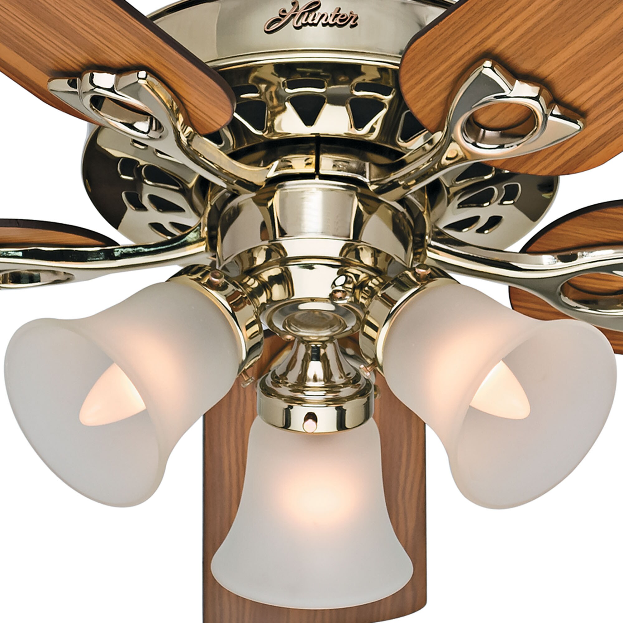 Hunter 53116 Ceiling-Fans - View #5