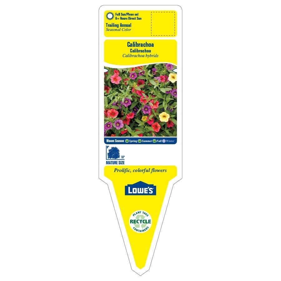 Lowe's 411865 annuals - View #2