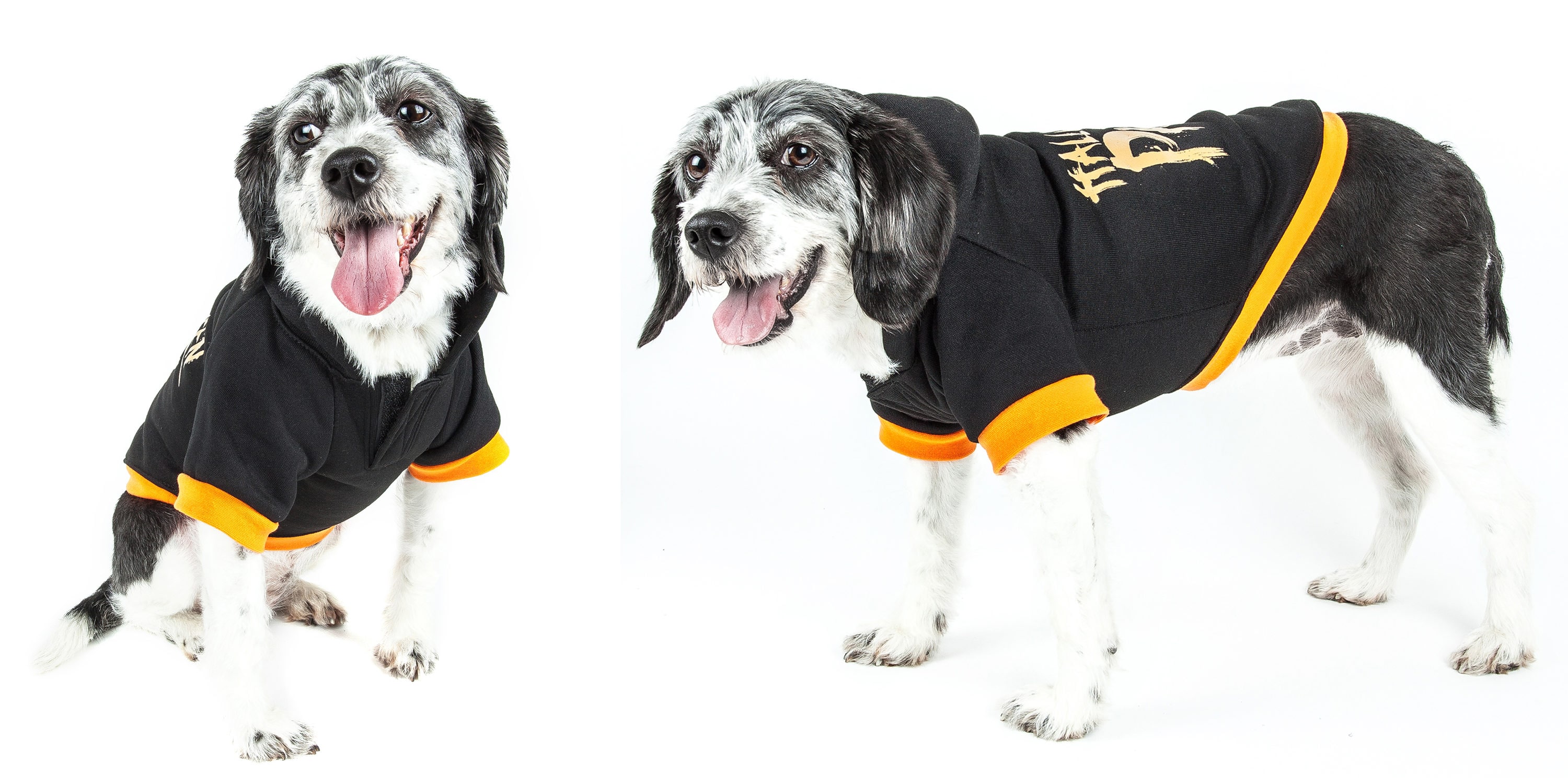 Pet Life FBP7BKLG Dog-Apparel - View #5
