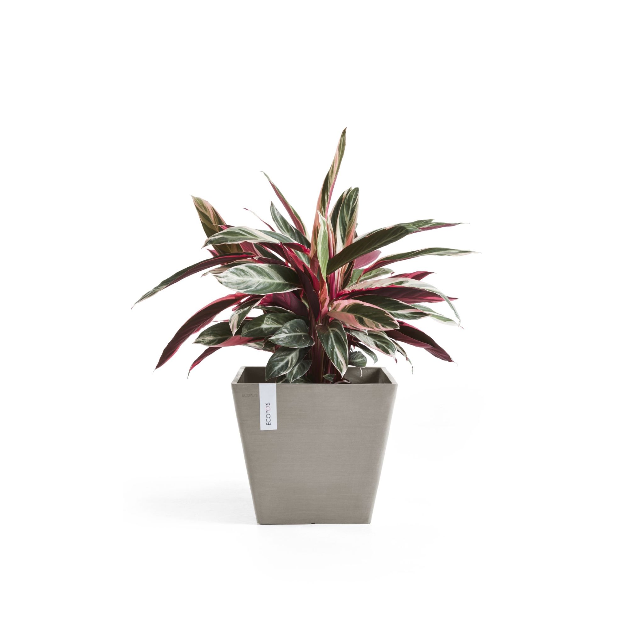 ECOPOTS 5411942740773 Planter-Window-Box - View #5