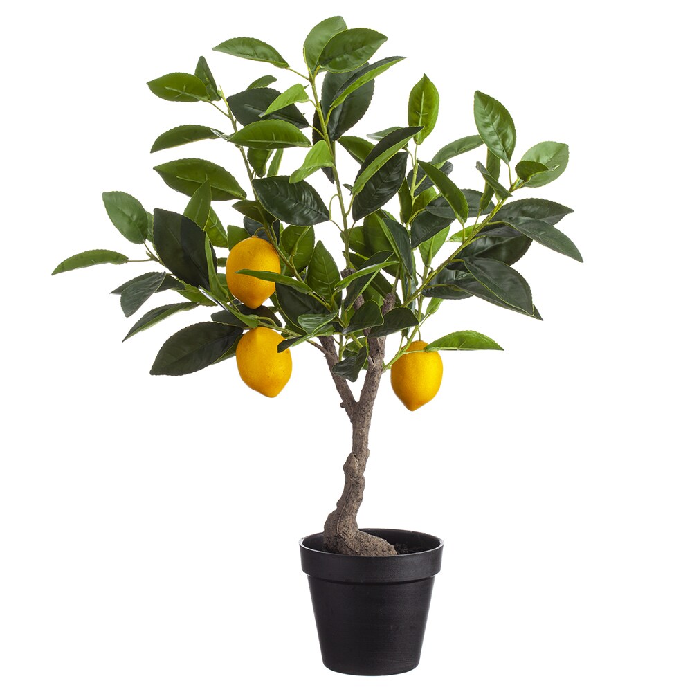Allstate Floral LVL027-YE/GR 23-in Yellow Green Indoor Desktop Fir Artificial tree