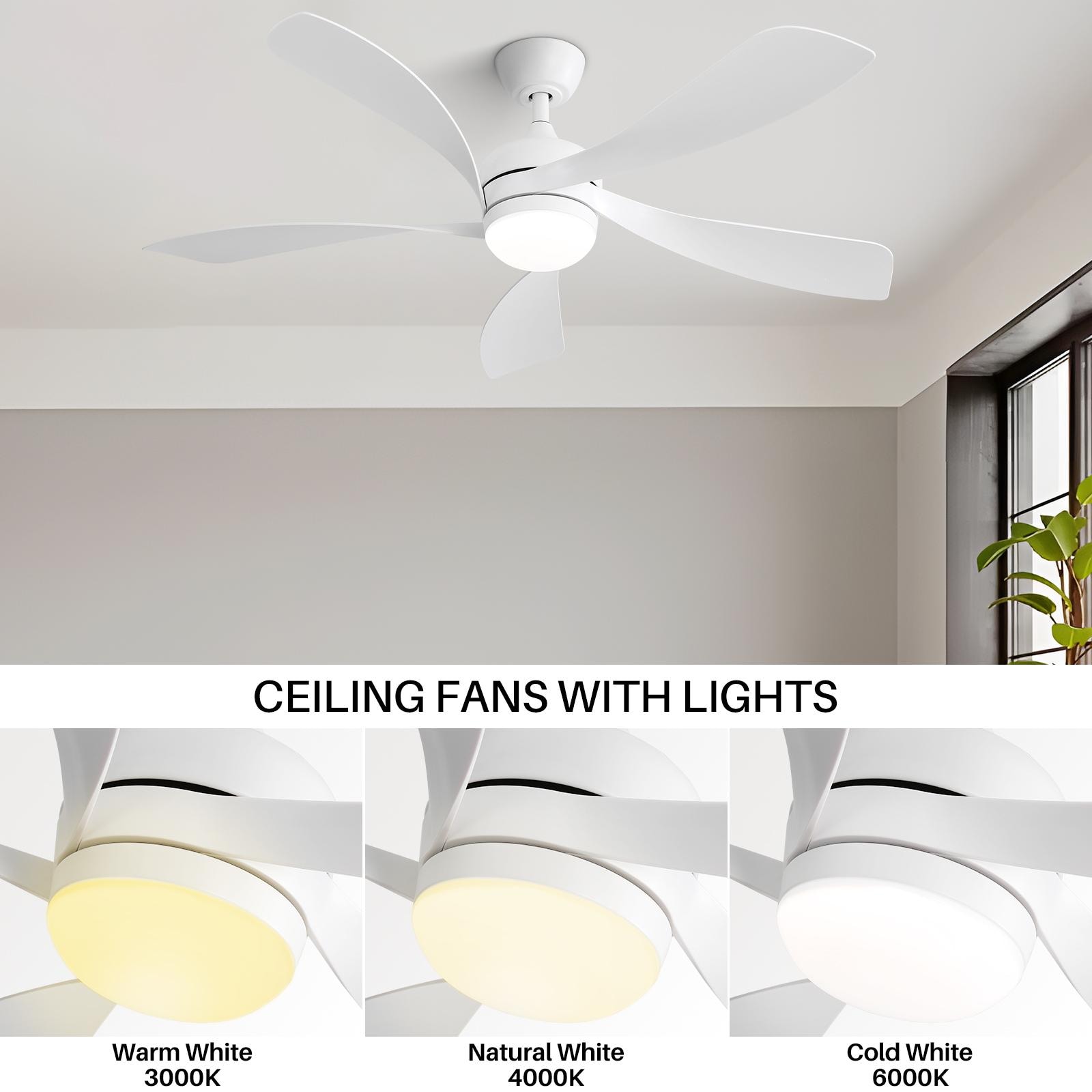 Bayfeve BFKS-46902-CF Ceiling-Fans - View #7