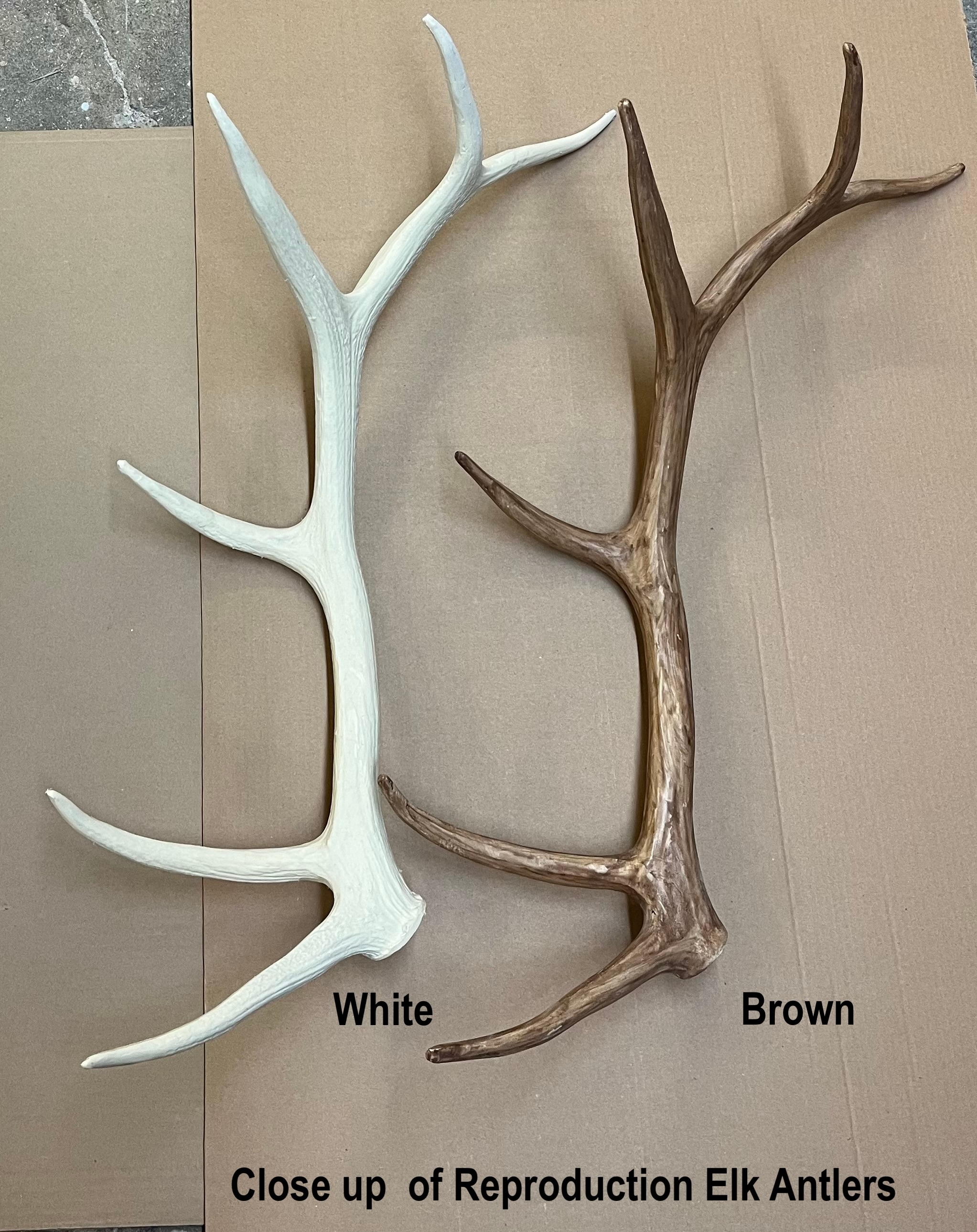 Canadian Antler Design CLR-14-XL-N b090015 - View #10