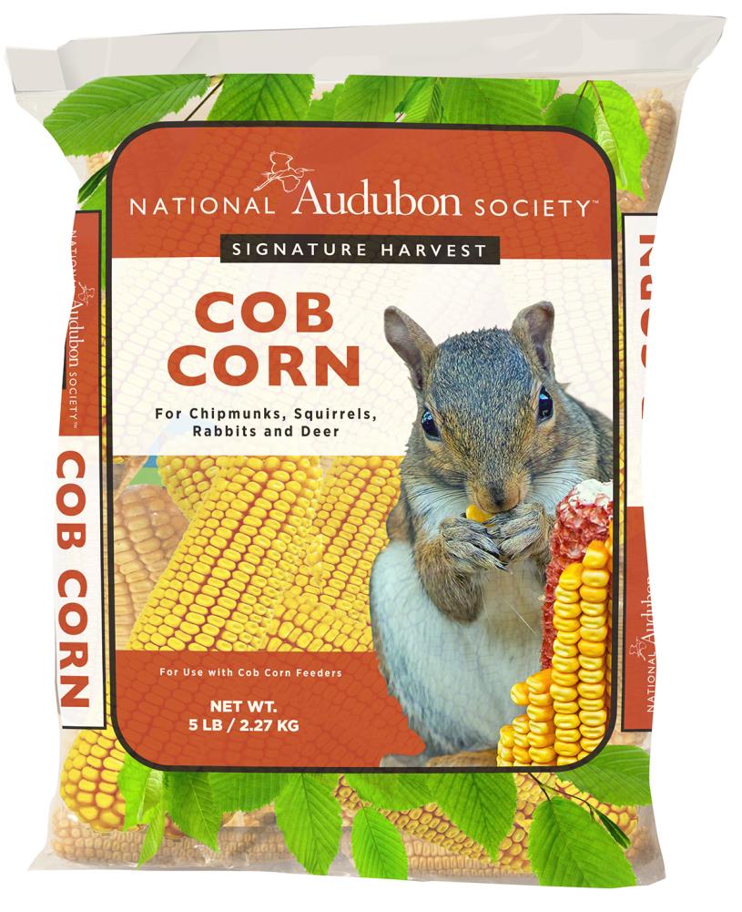 Squirrels 10 lb Homegrown Quality Yellow Shell Corn Wildlife Birds Feed Deer 