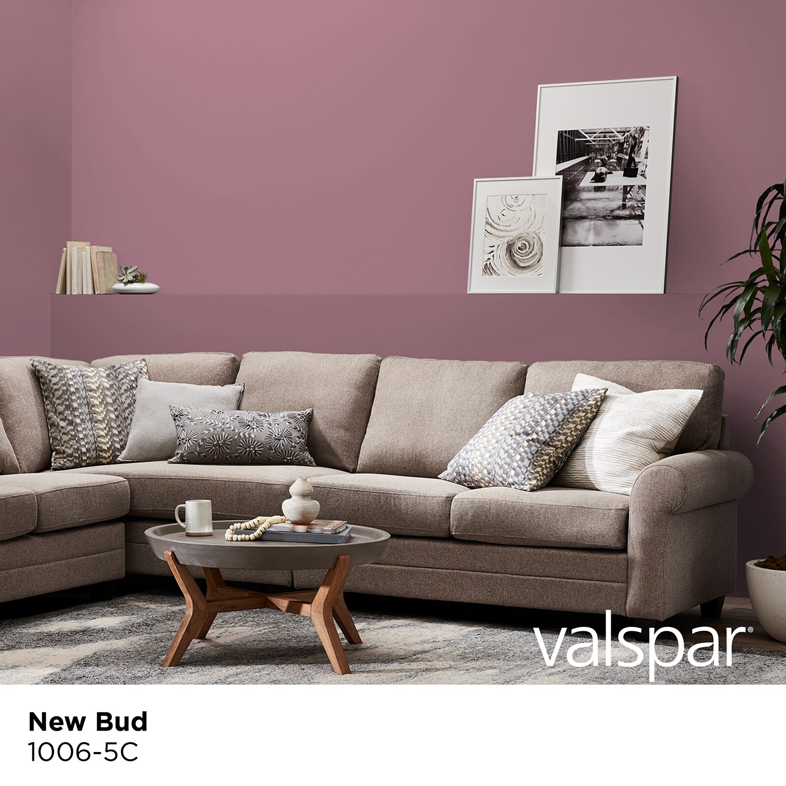 Valspar 1006-5C-2916575 Int-Ext-Paint - View #2