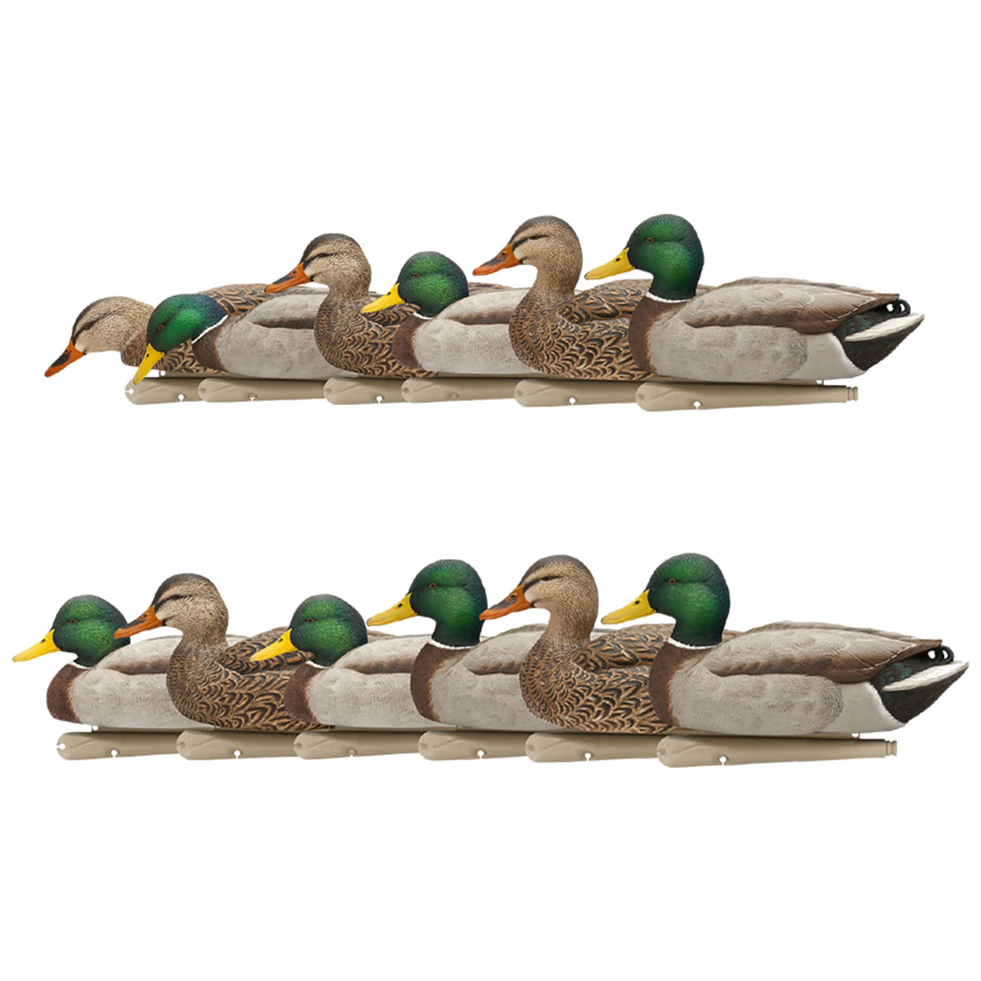  Avian X 408597 18.3 x 16 x 12.5 Inche(s) Decoy 12 -Pack