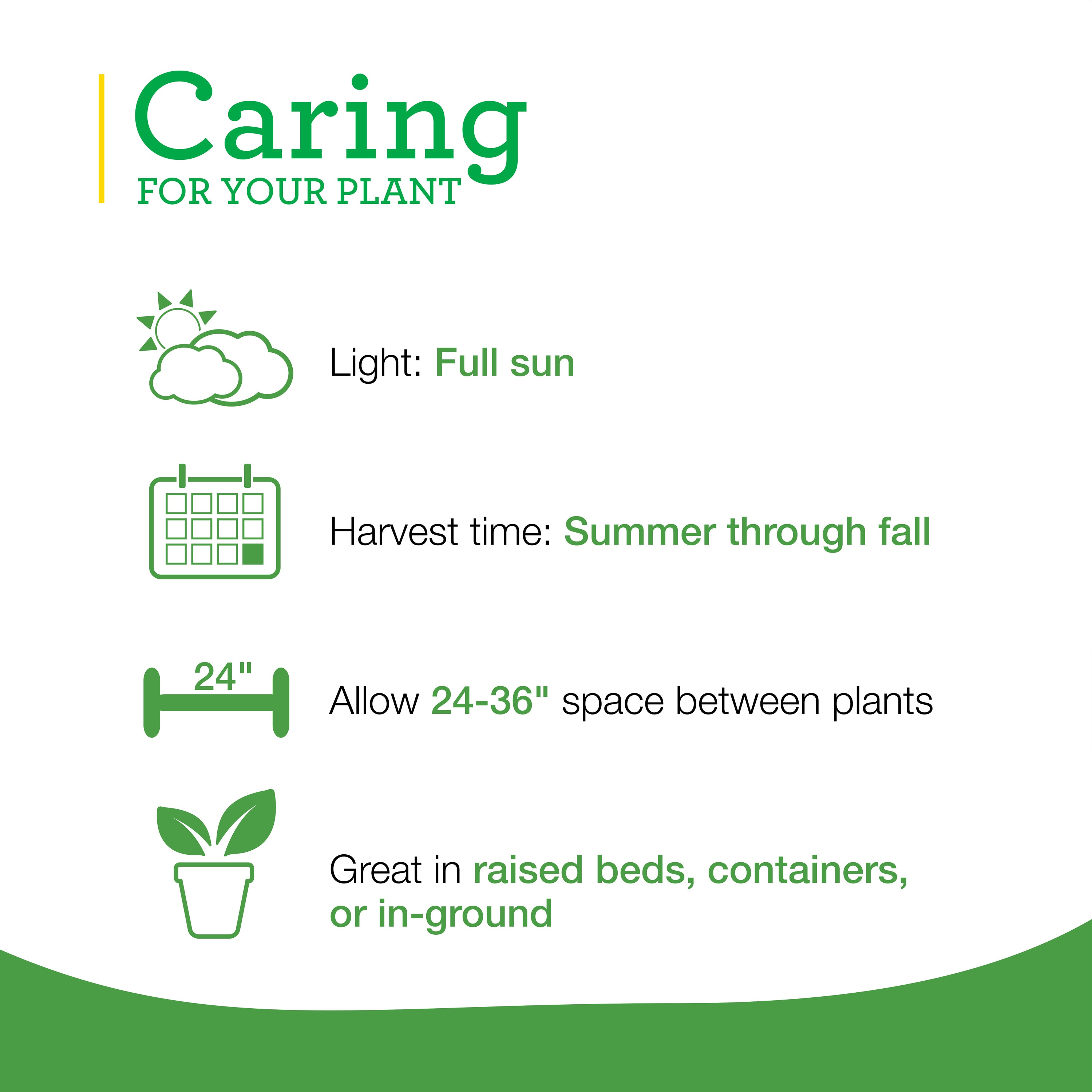 Bonnie Plants 202023 Herb-Plants - View #5