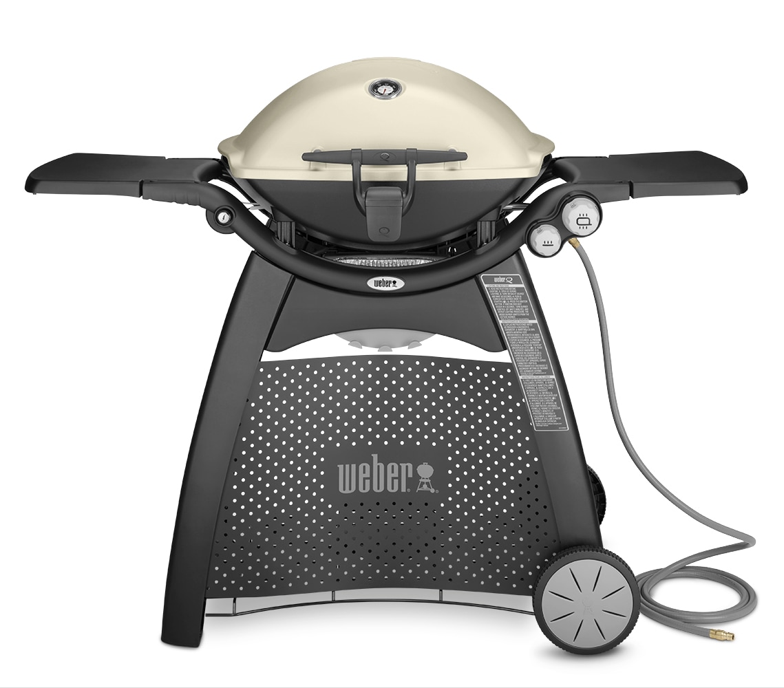 Weber Weber Q department Grill Titanium Natural the Grills in at 2-Burner Gas Gas