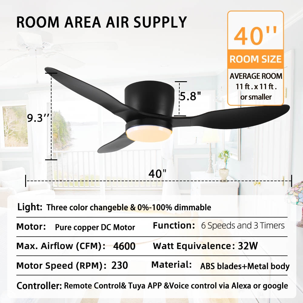 Duclsaty ZYS055 Ceiling-Fans - View #7