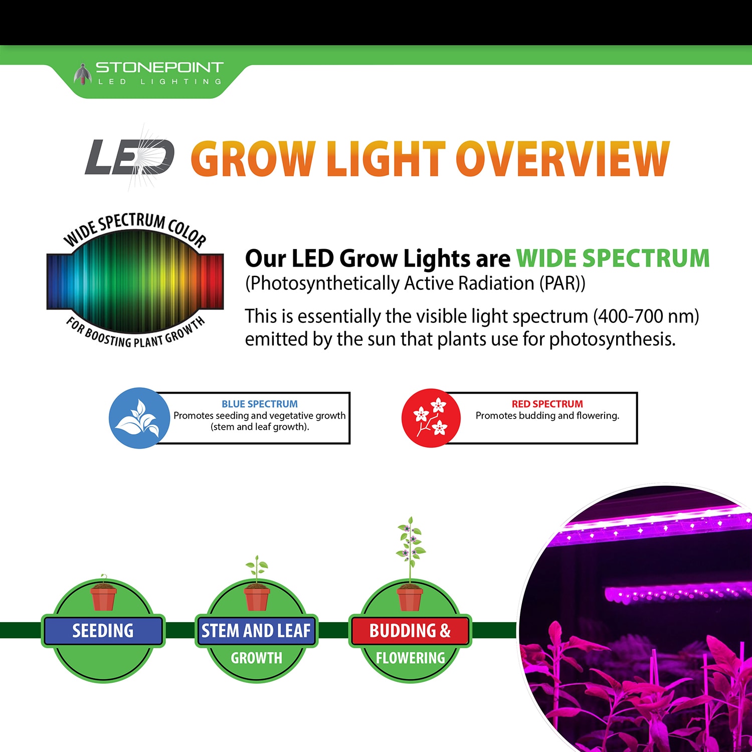 Stonepoint shop grow light