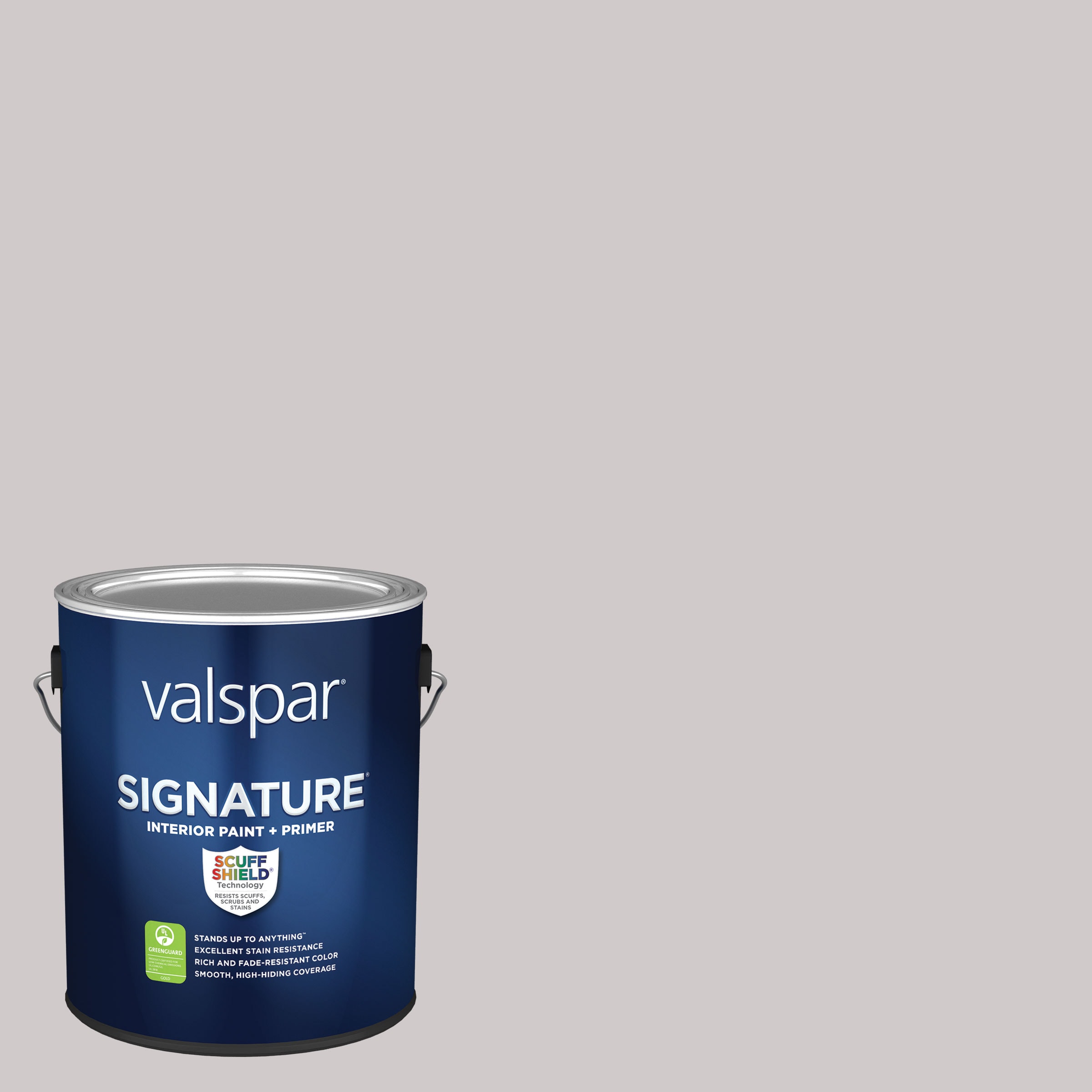 Valspar 8004-3B-5623404 Signature Satin Dusk in the Valley Latex Interior Paint Paint + Primer ( 1-gallon )