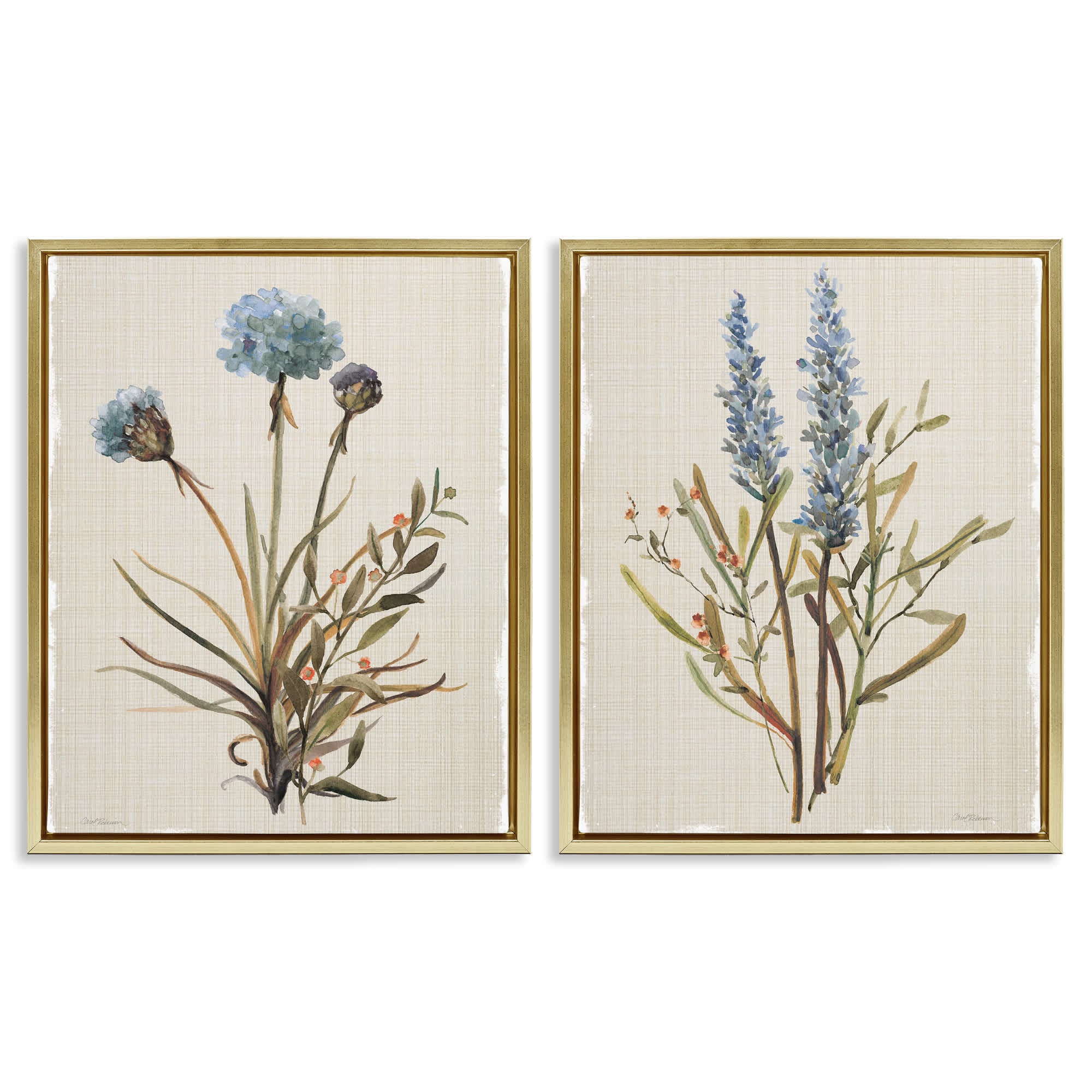 Stupell Industries B2-748-FFG-2PC-16X20 Natural Budding Blooms 2pc Floating Frame Set design by Carol Robinson